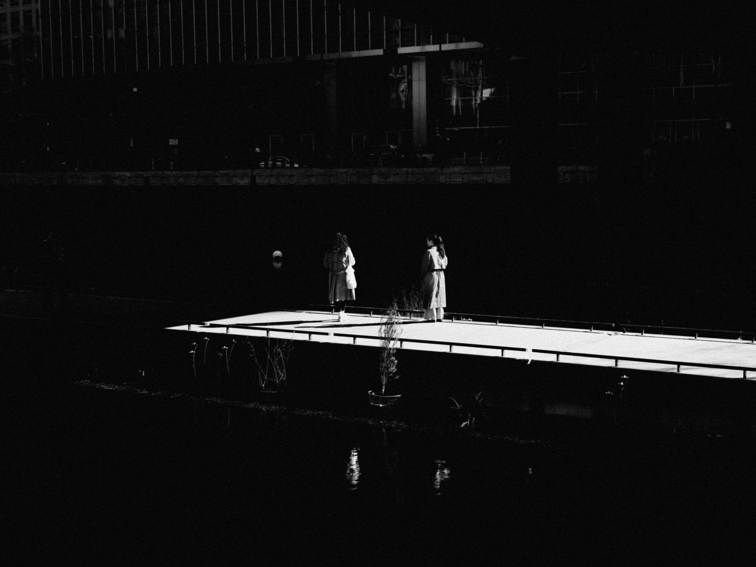 DSCF4491.jpg