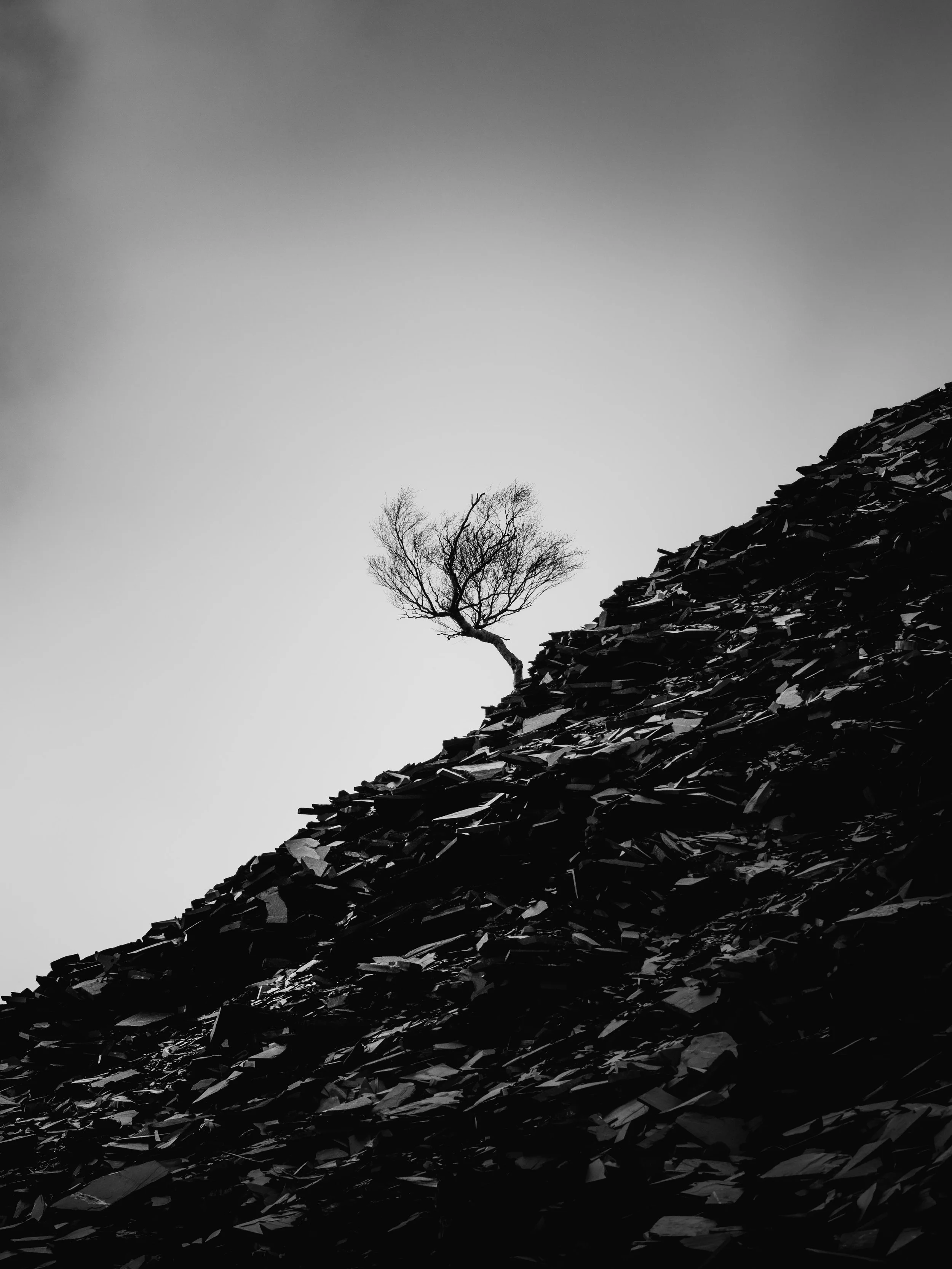 Snowdonia-50.jpg