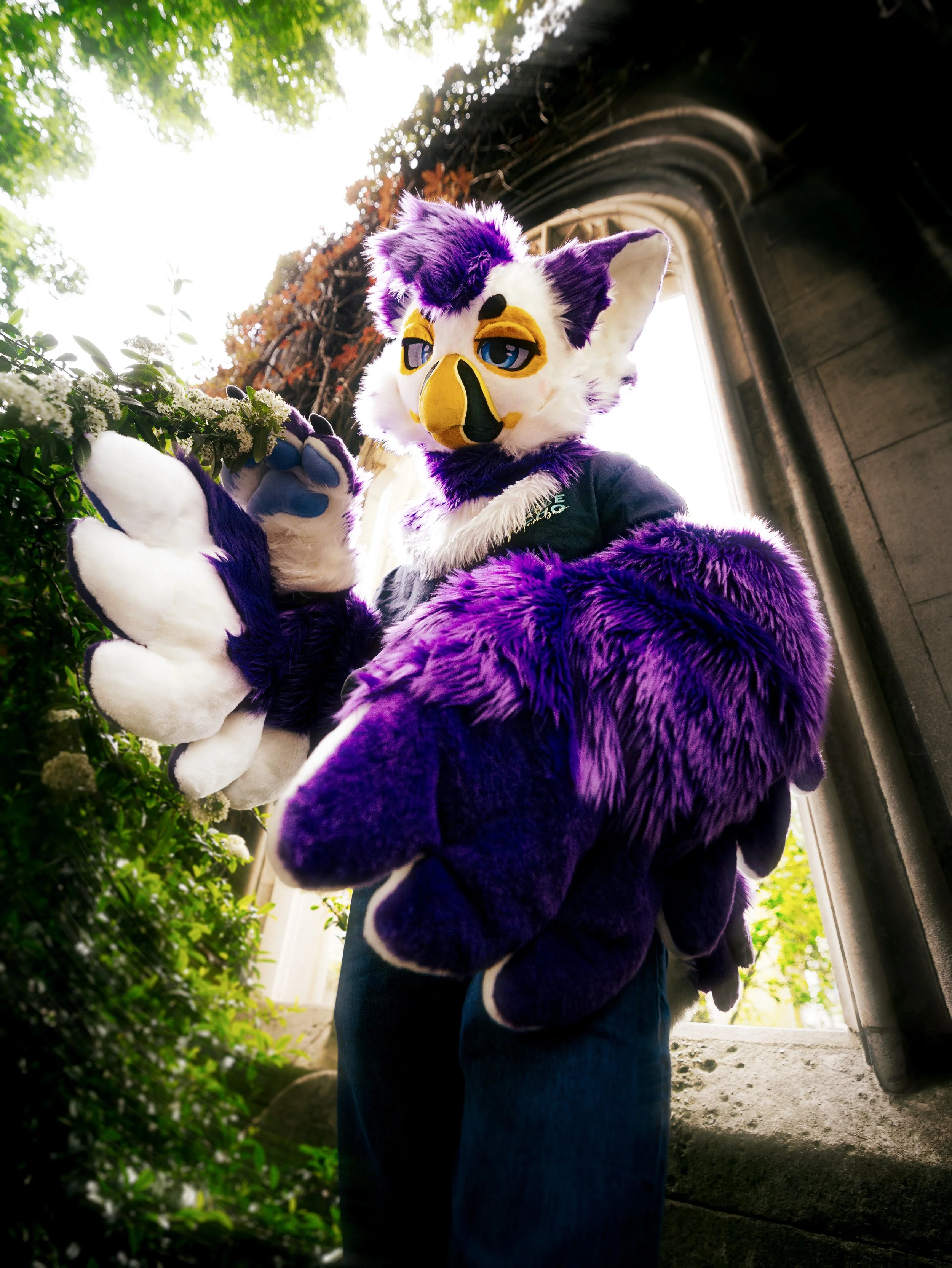 0N3A5357-Edit.jpg