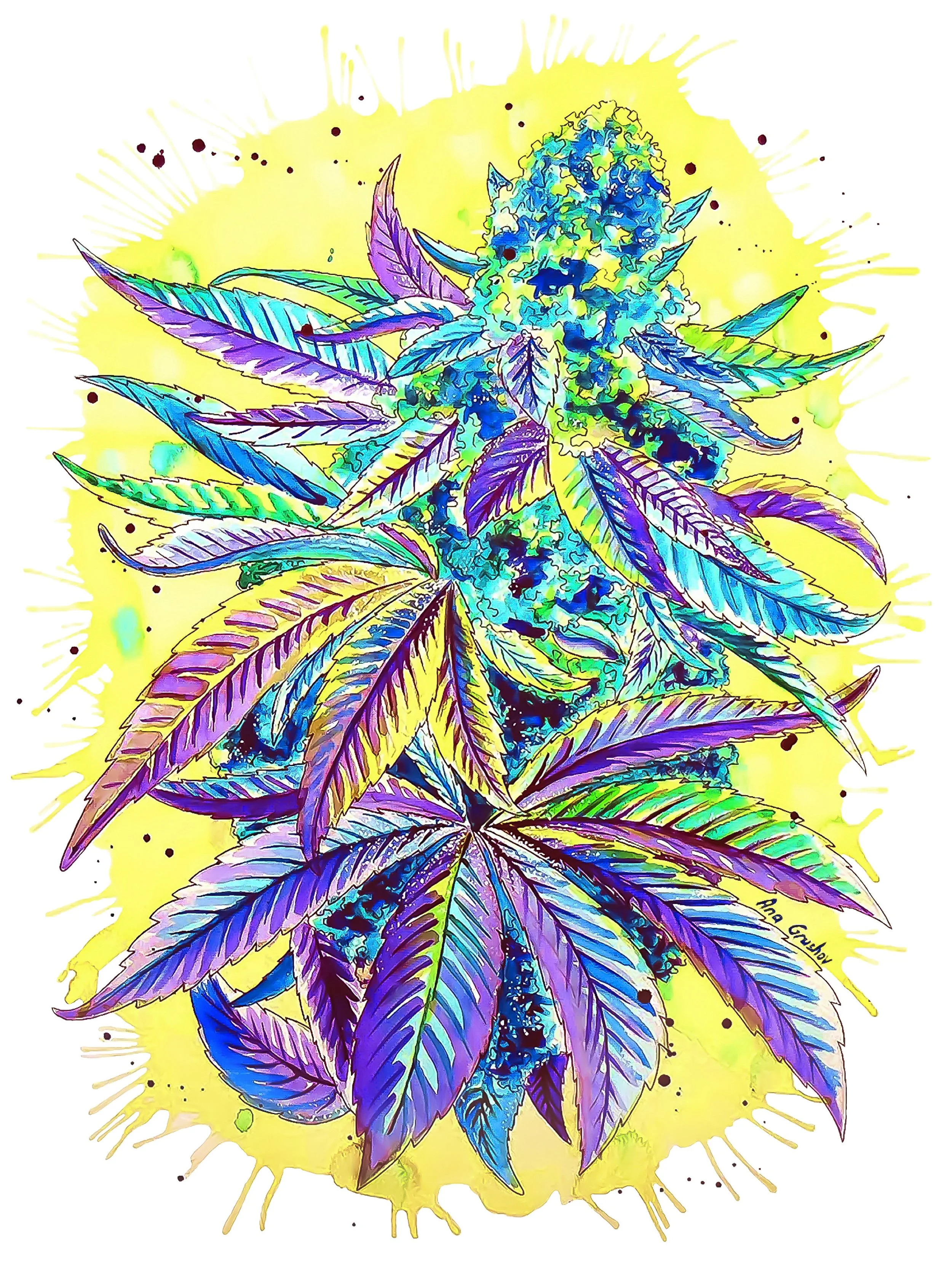 Purpleberry Lemonade_16x12.jpg
