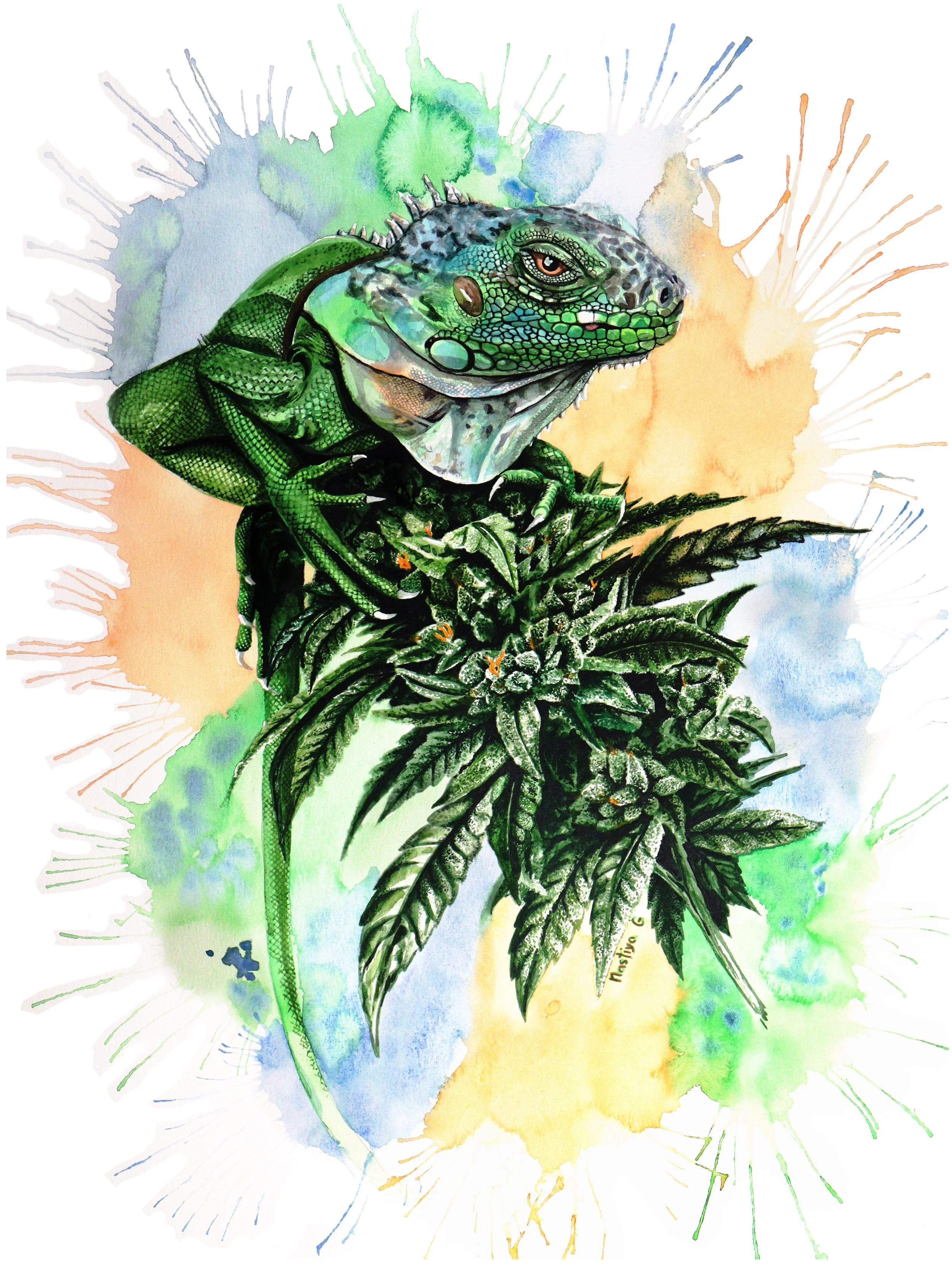 Lizard Weed (1).jpg