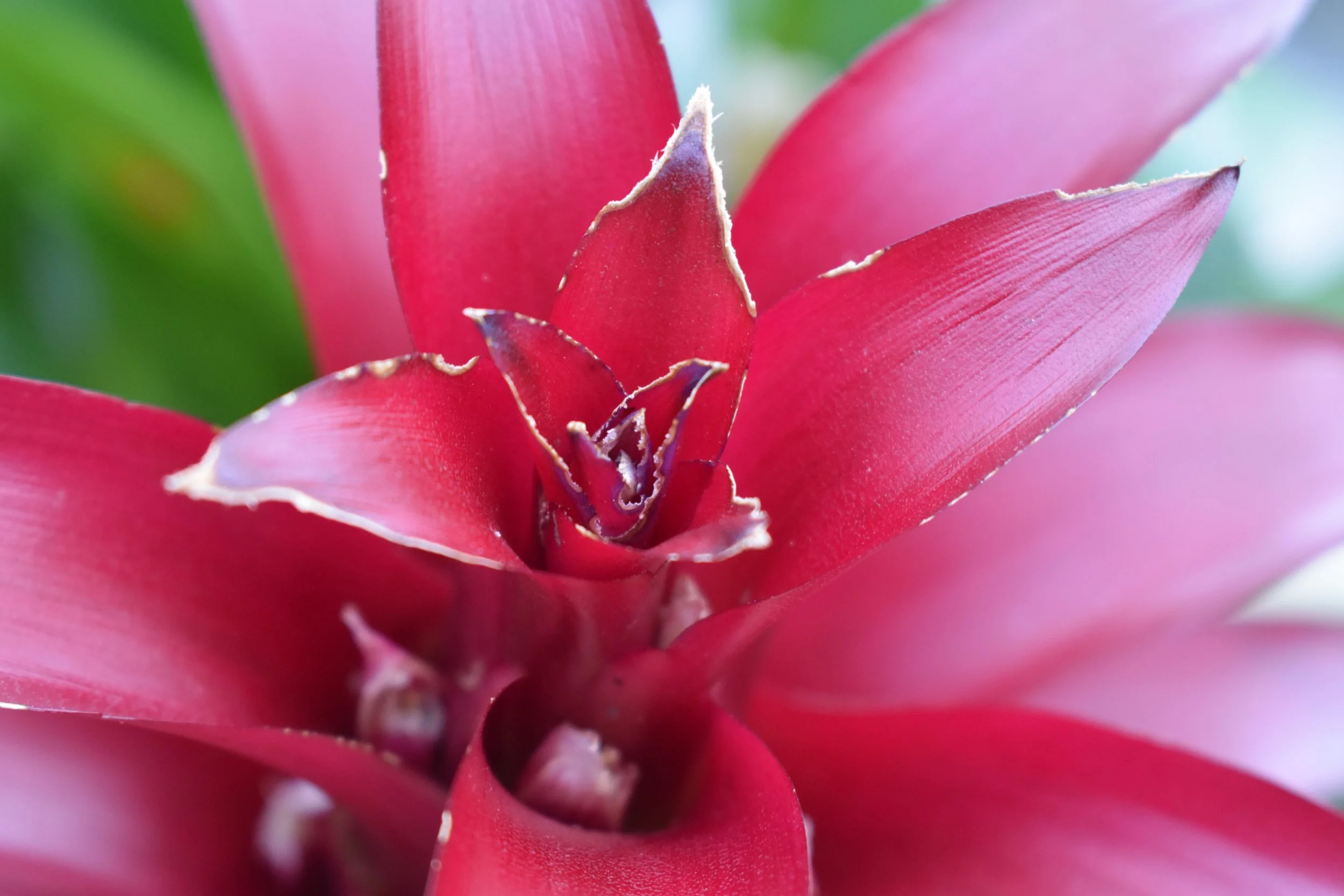 DSC_0736.JPG