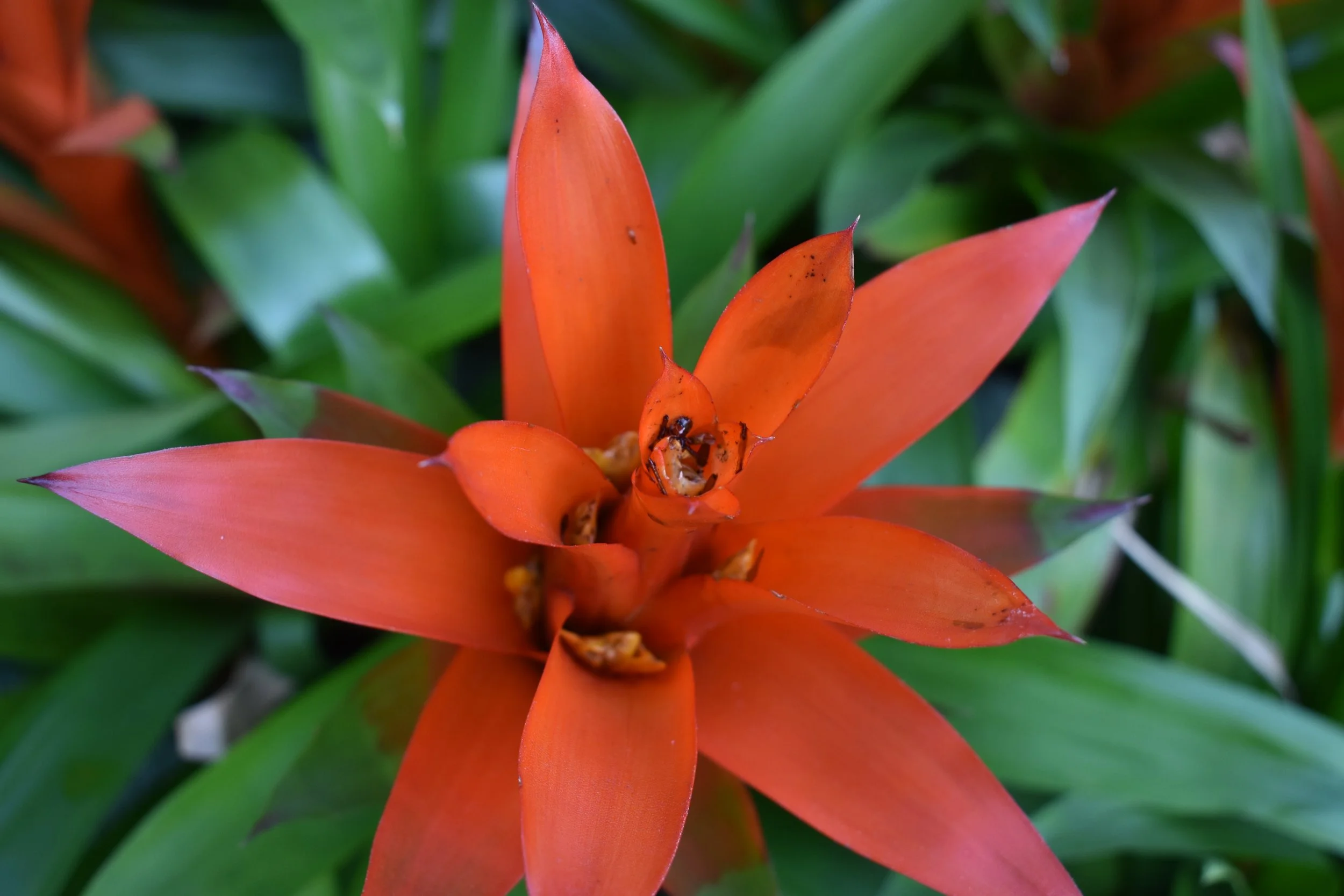 DSC_0697.JPG
