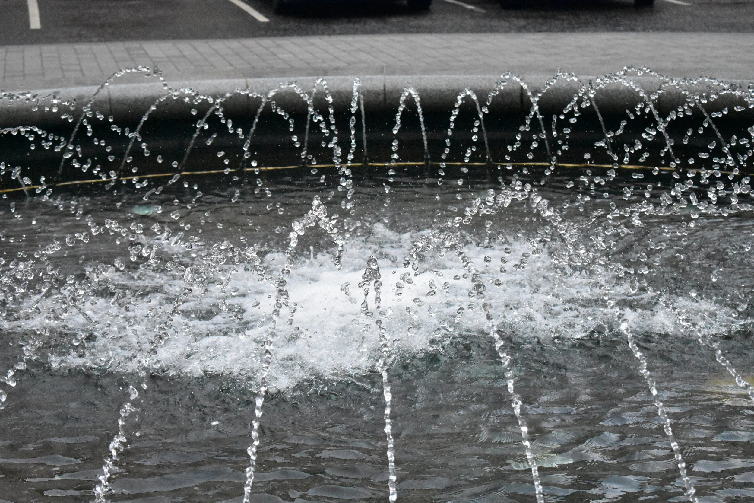 DSC_0252.JPG