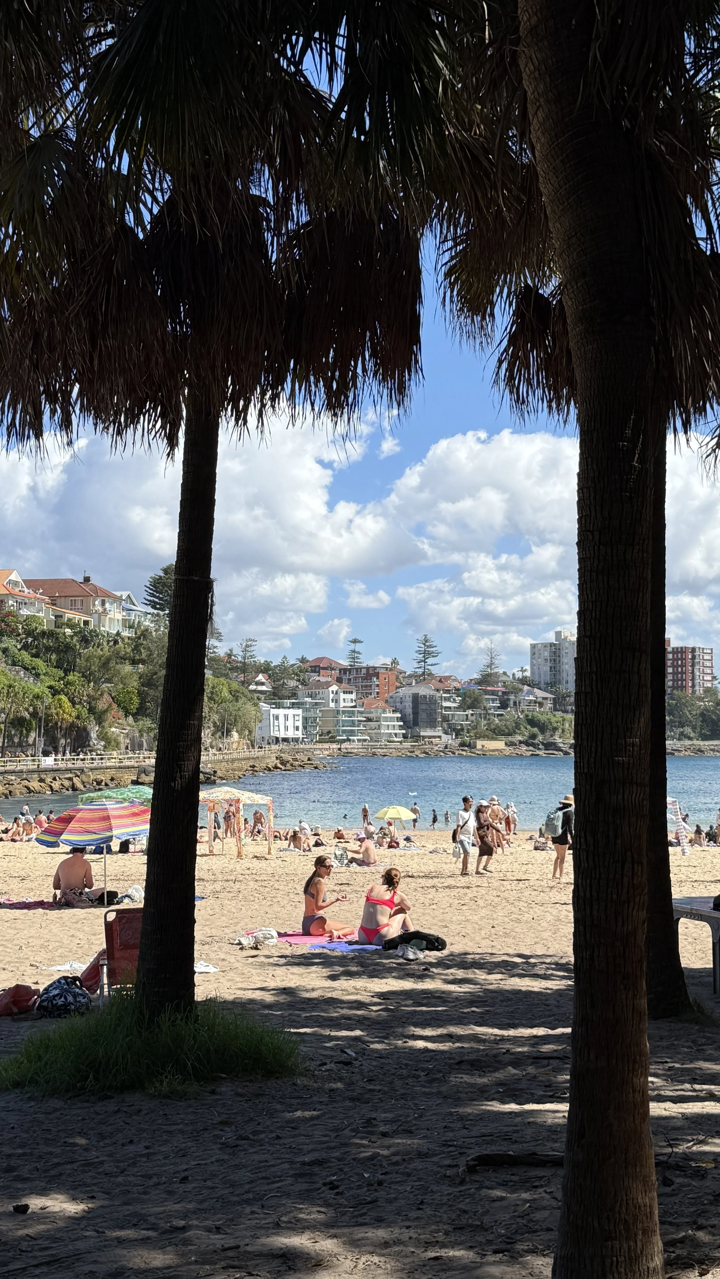 A Quiet Afternoon at Shelly Beach