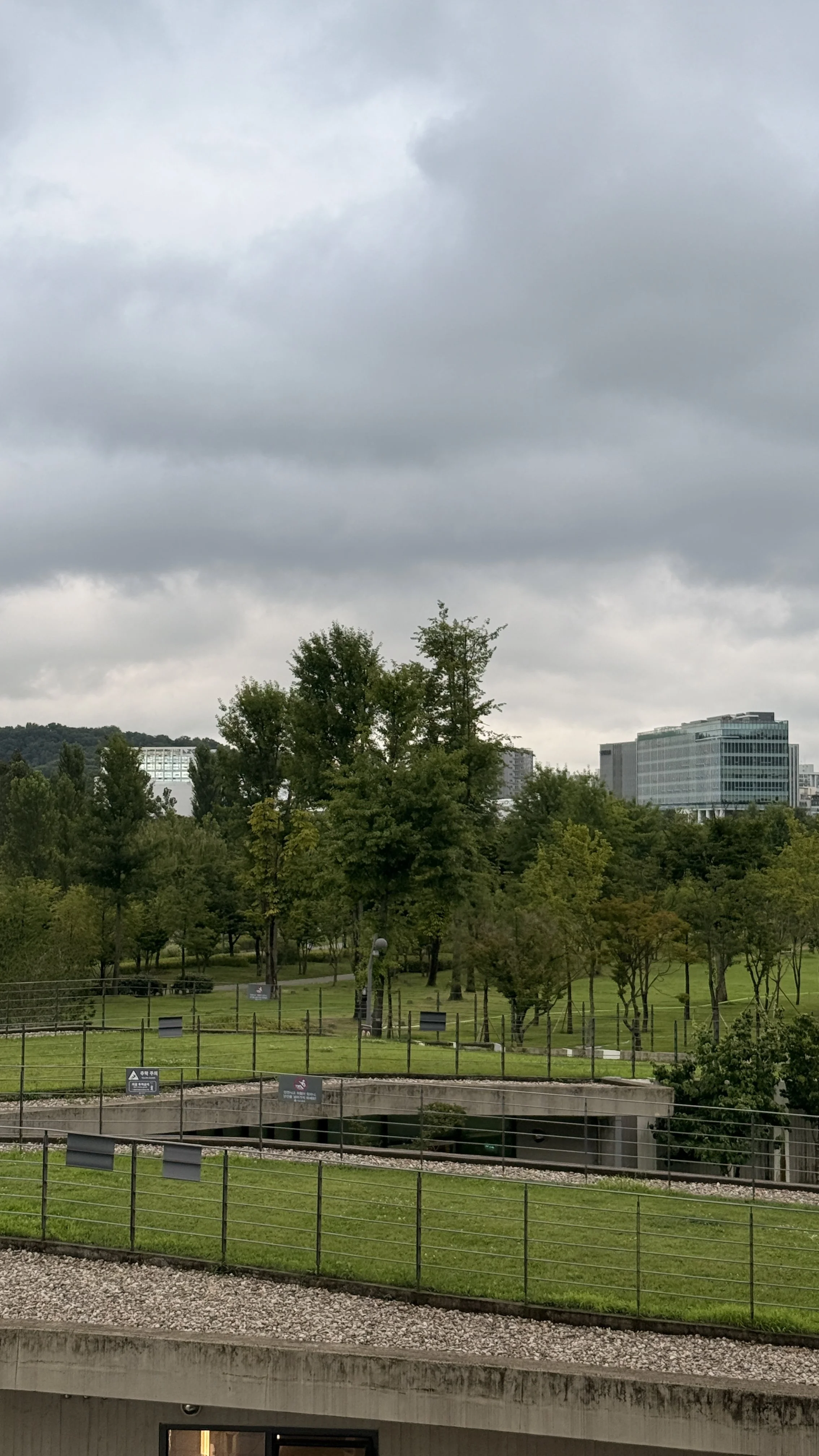 IMG_7882.JPG