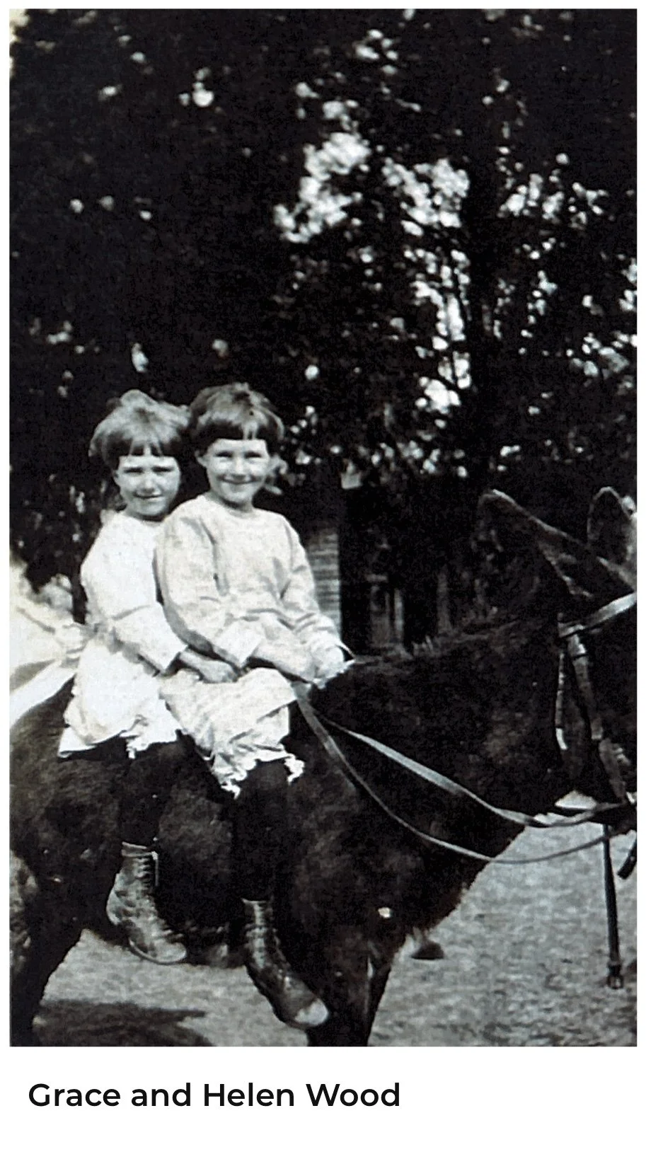 Wood Family - 009.jpg