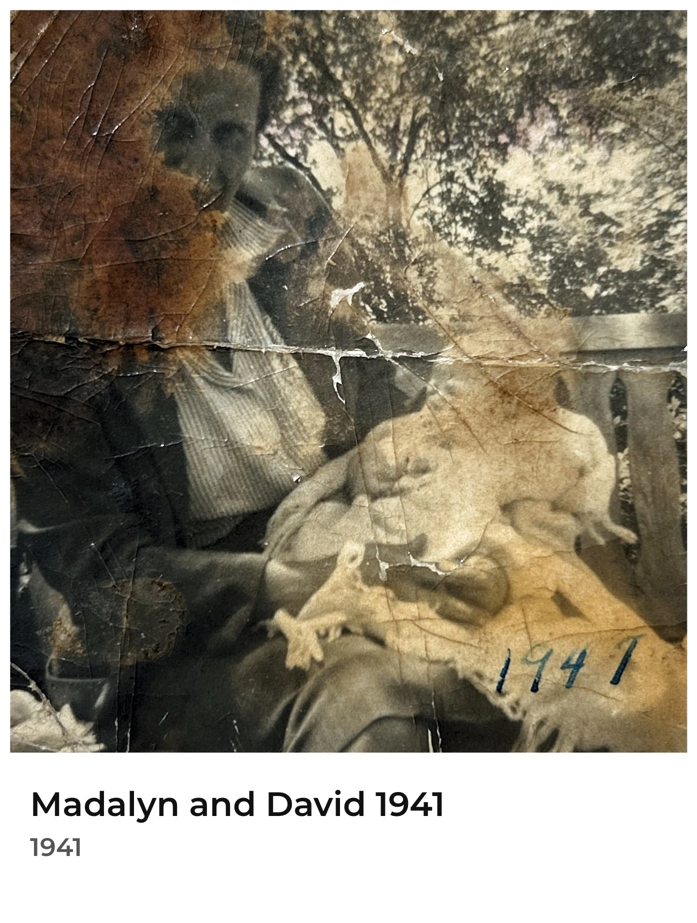 David - 007.jpg