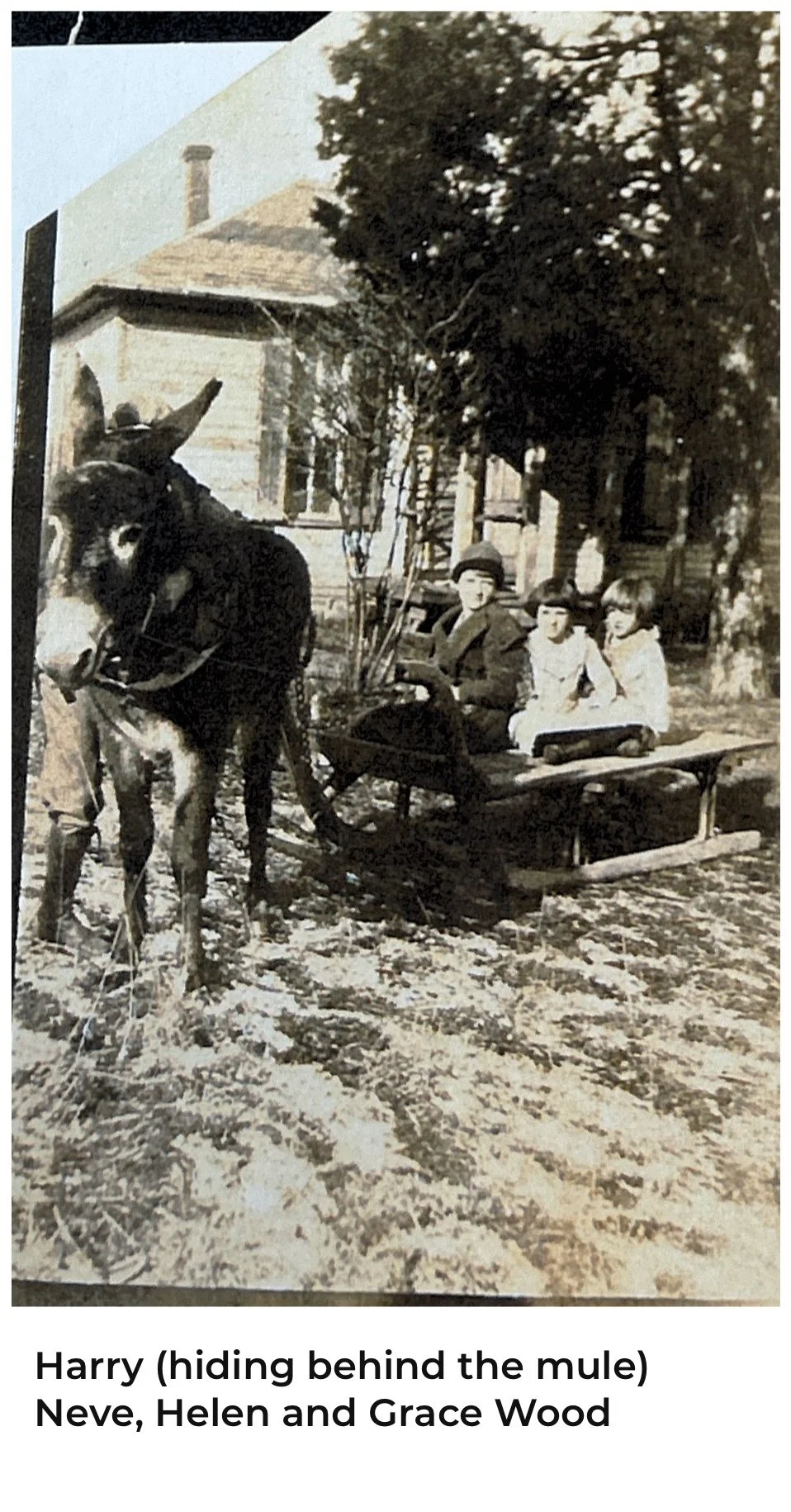 Wood Family - 008.jpg