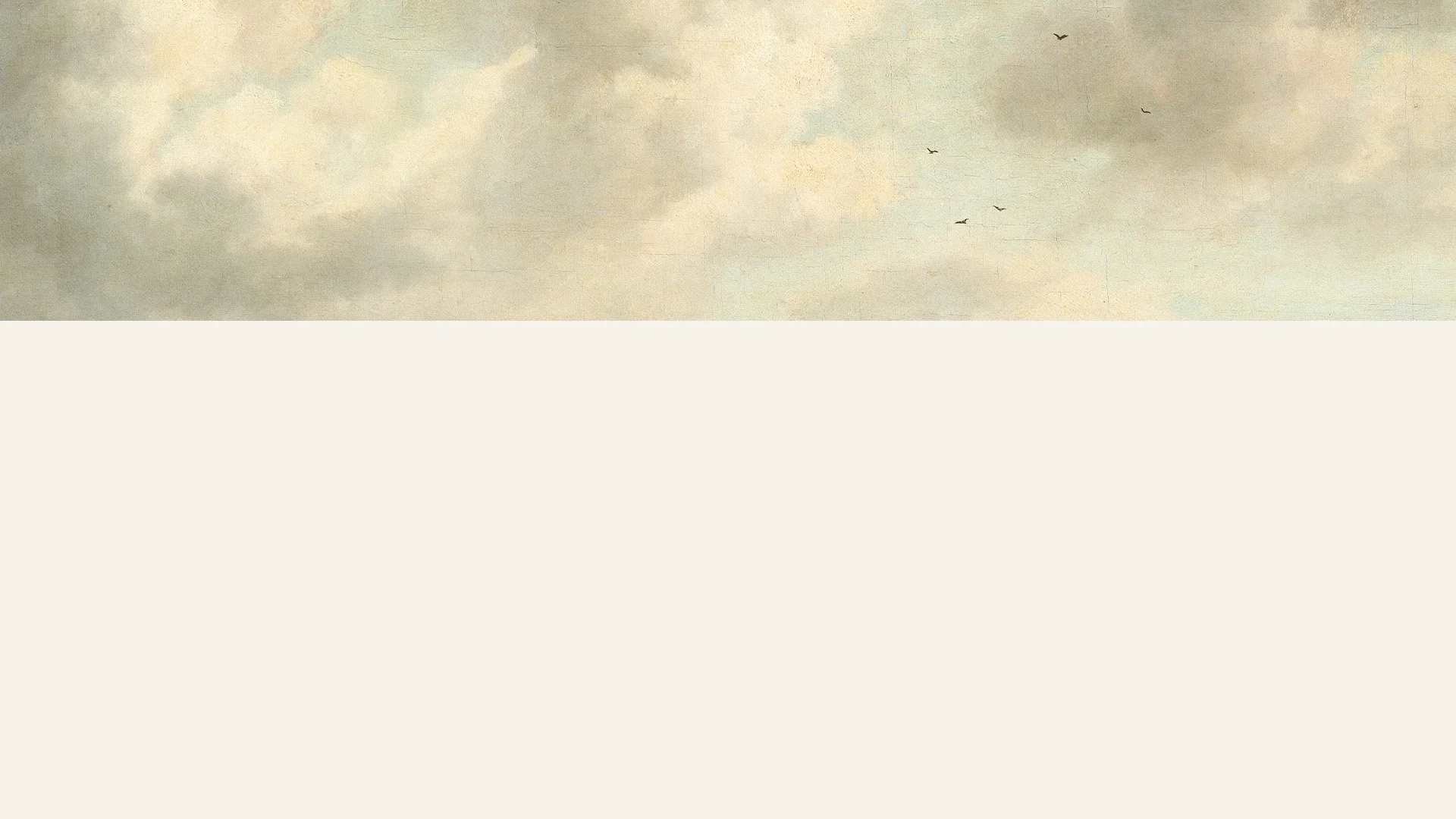 A scenic landscape with cloudy sky and birds flying.