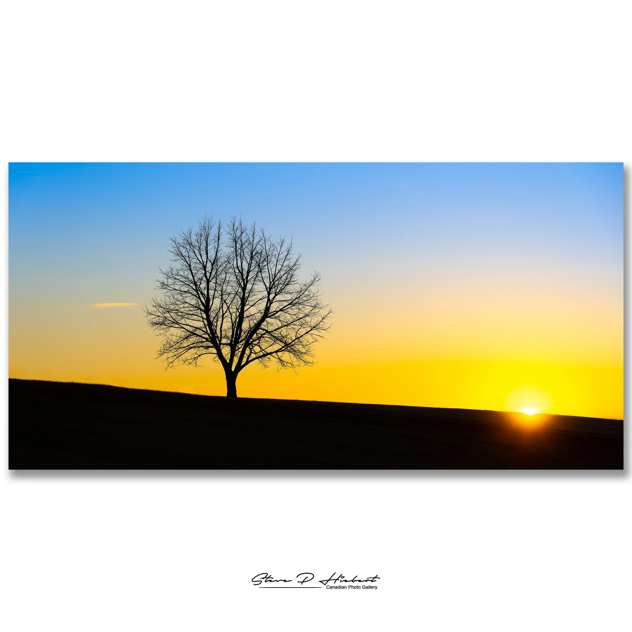 A single tree. One fading sunset. And somehow it says more than words ever could.
I stood there watching the last light disappear over the hill, thinking about how creation never seems to hurry. The sun still rises. The seasons still change. The skie