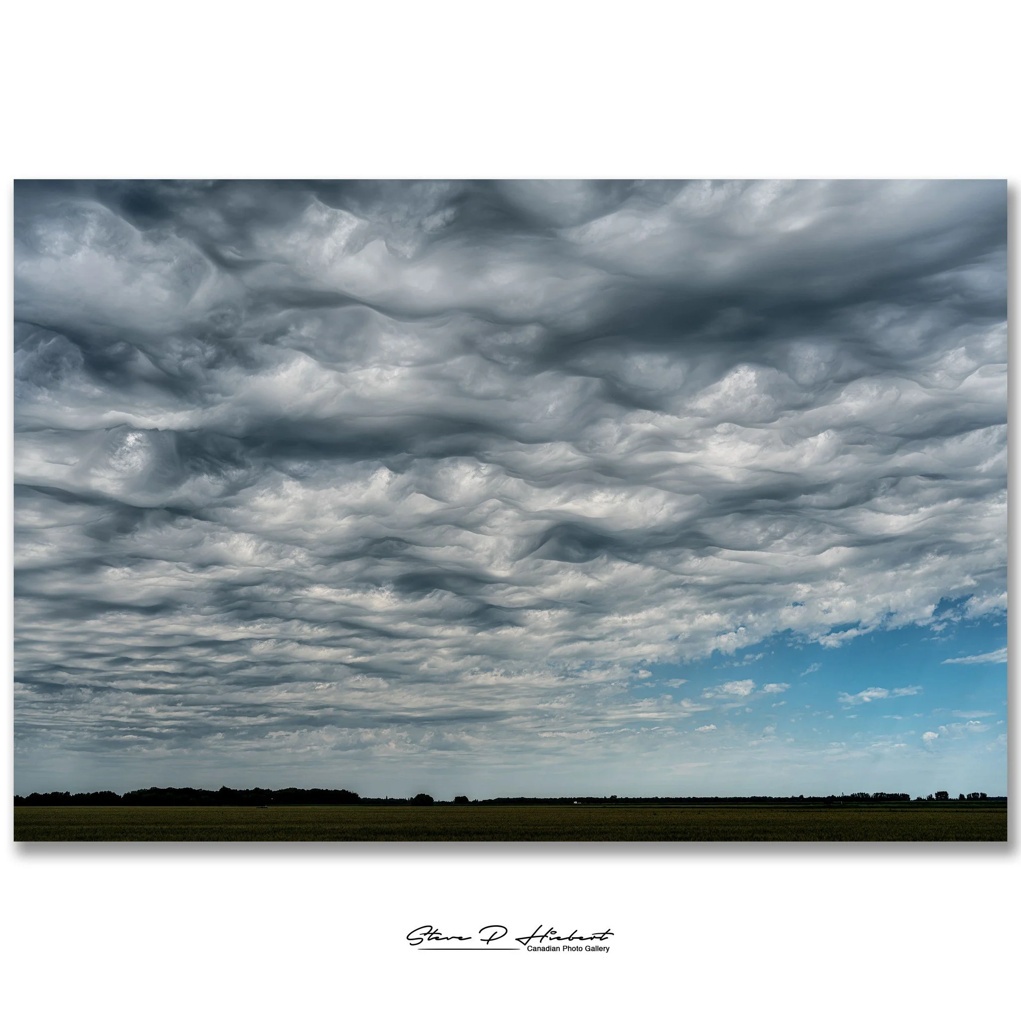 Driving to Winnipeg yesterday, I glanced up and immediately knew I had to pull over.

These incredible clouds are called Asperitas clouds, one of the rarest cloud formations in the world. They look like waves crashing across the sky and can disappear