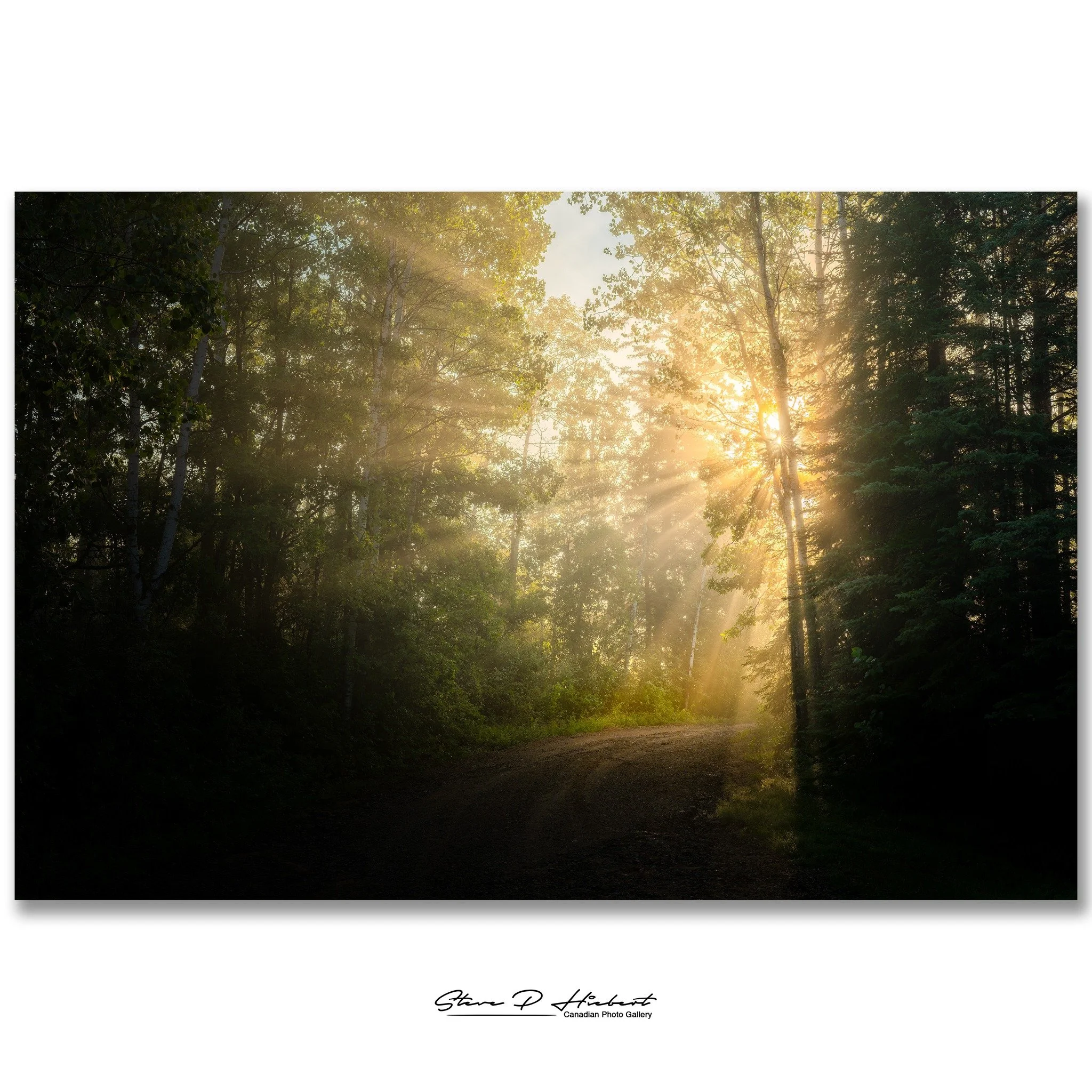 Leaving home at 2:00 AM to chase a sunrise in the Whiteshell might seem a little crazy...

The forecast looked perfect, and I was hoping to photograph sunrise over Caddy Lake.

Instead, the lake was completely covered in fog.

At first, I thought I'd