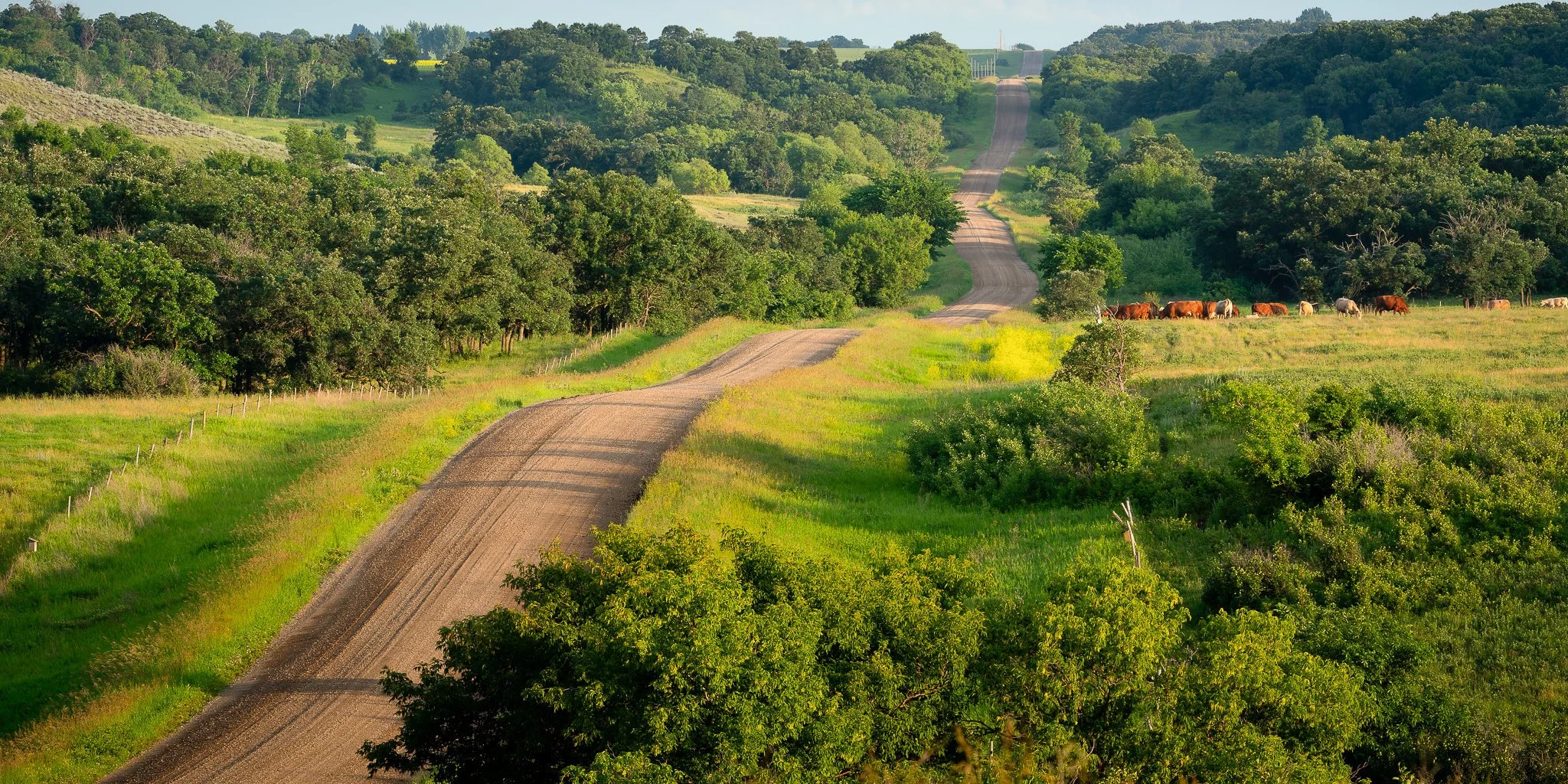 the-long-road-home-manitoba-country-road-landscape-fine-art-photography-steven-paul.jpg