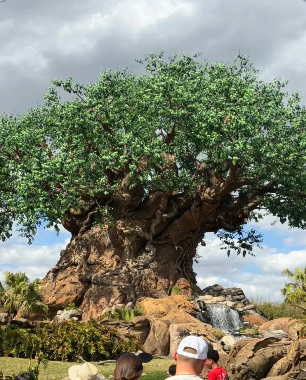 A Magical Stop at Walt Disney World Before Sailing on Disney Cruise Line