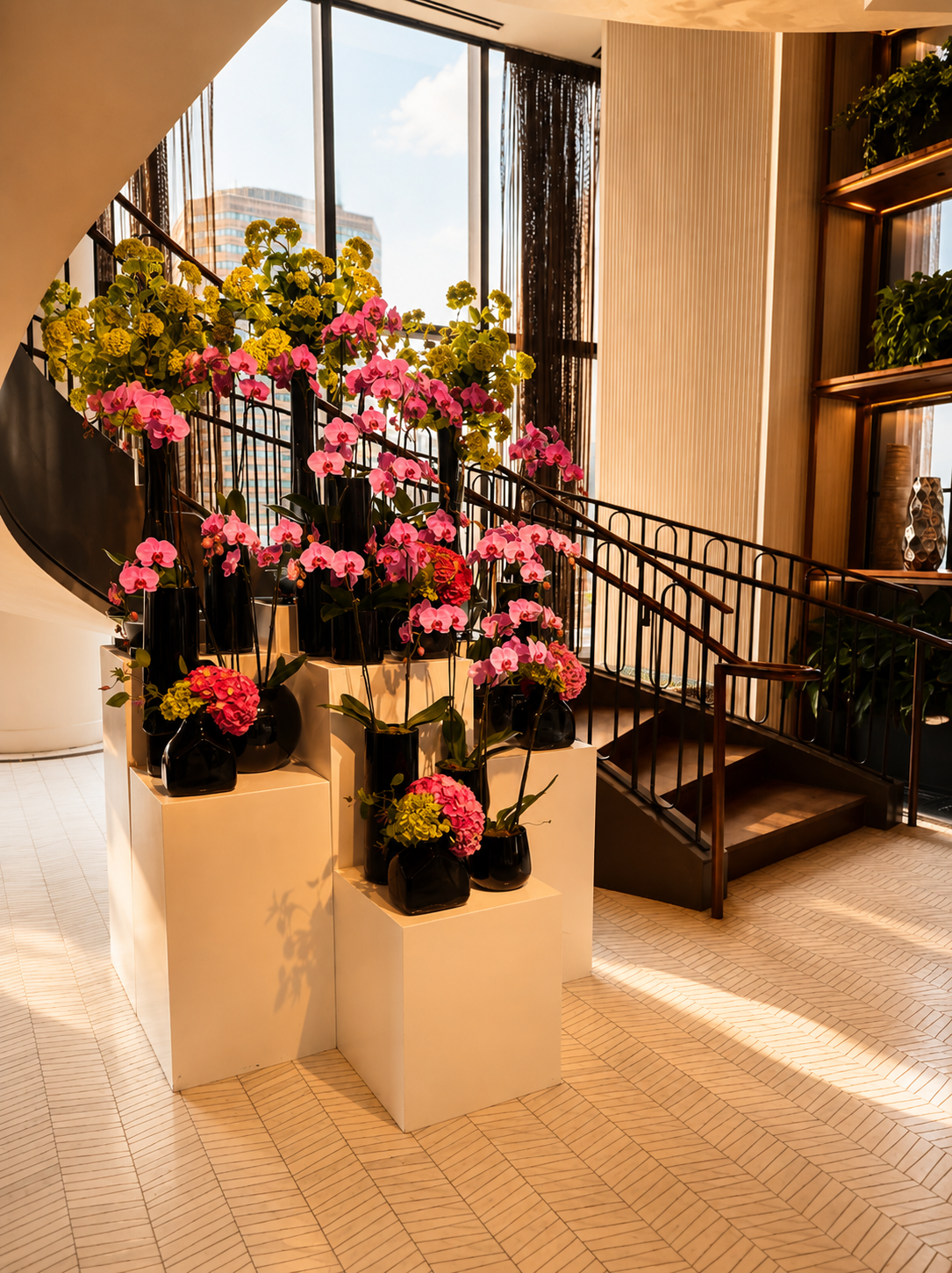 Indoor display of pink and yellow orchids arranged in black vases on white pedestals near large windows, with wooden stairs and shelves with plants visible in the background.