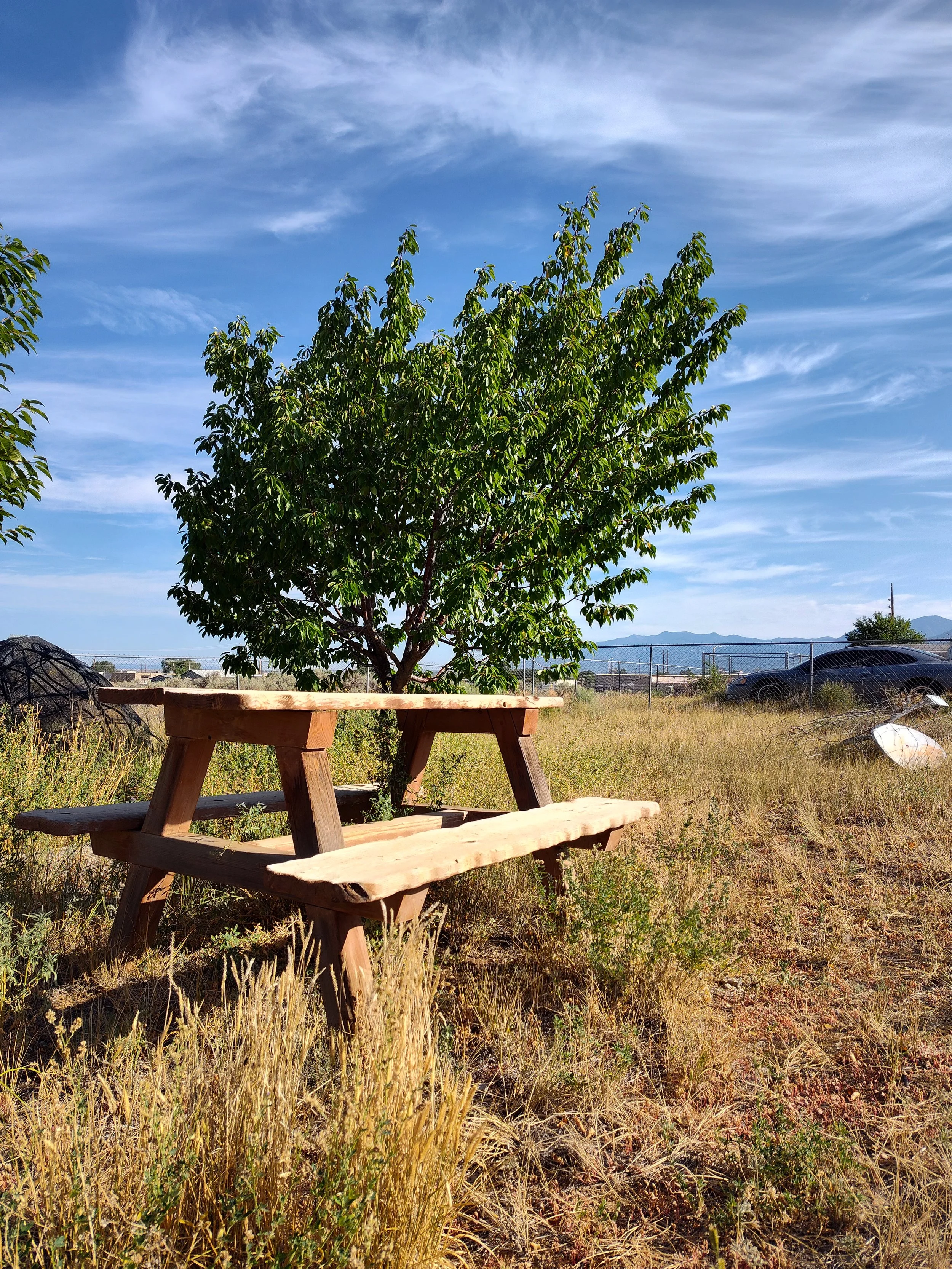 Earth Talk - Community Workshop