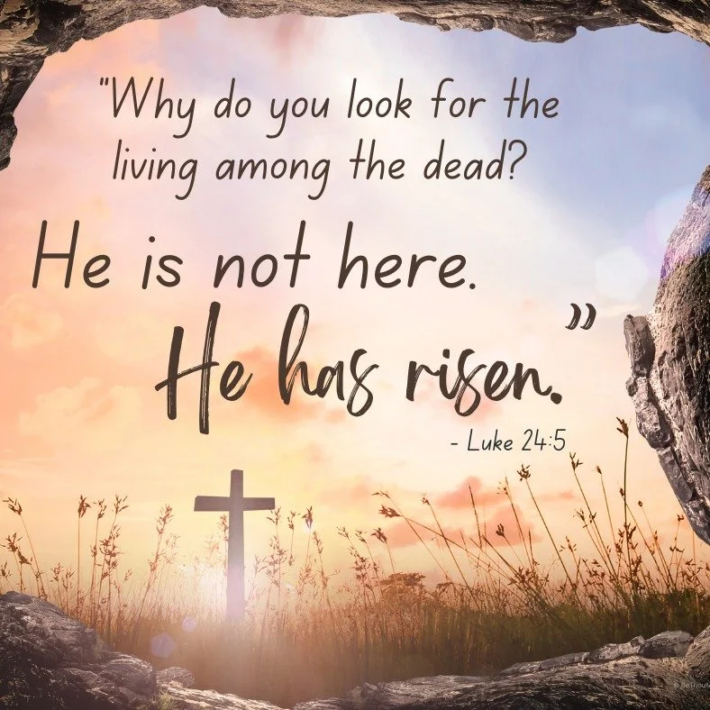 Easter Sunday is this Sunday, April 20th! Join us for Sunday Service @ 10:00 am! Rev. Dr. Roy Medley preaching &amp; Timothy Urban is our guest musician!

Celebrate the resurrection of our Lord and Savior in our Easter Sunday traditional service! Rev