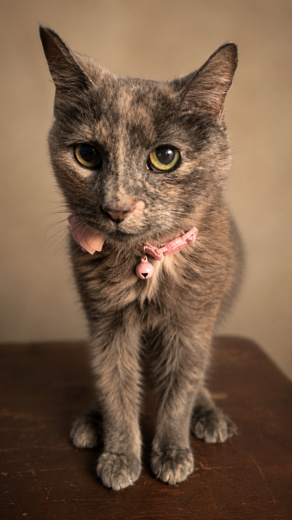 A close-up photo of a gray tabby cat with yellow-green eyes, wearing a pink collar with a small pink bell, sitting on a wooden surface against a neutral background.