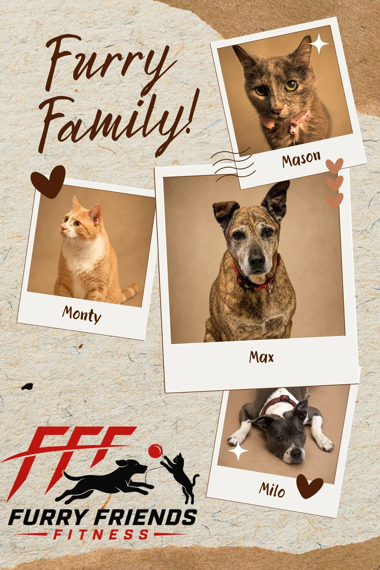 Collage of four pet photos with names: Mason, Monty, Max, Milo. Mason is a tortoiseshell cat with a pink collar and bell, Monty is an orange tabby cat, Max is a brindle dog with a red collar, Milo is a black and white dog lying on the floor. The background is paper-like with hearts and decorative elements, and the text reads "Furry Family!" in large cursive.