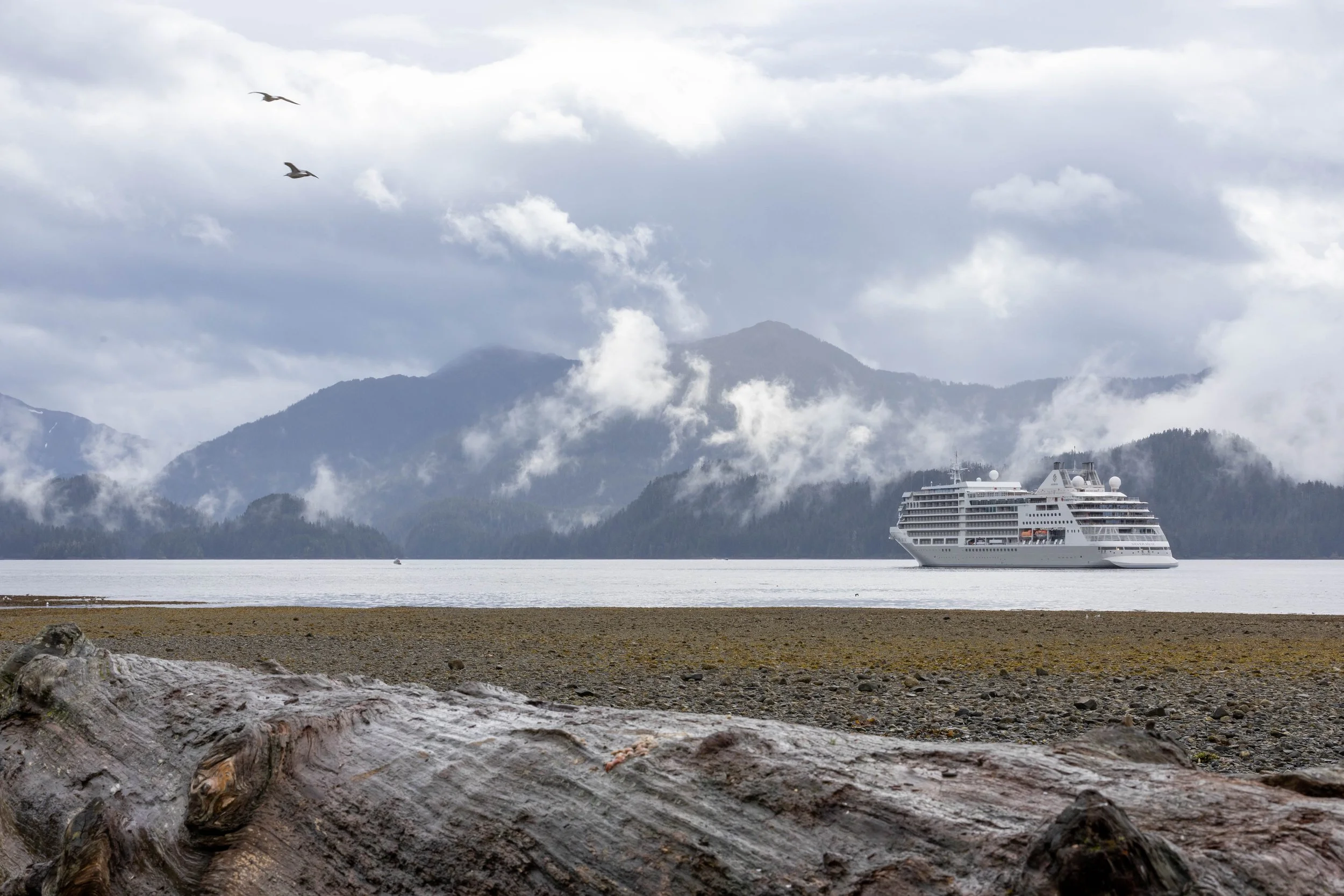 240 - Sitka.jpg