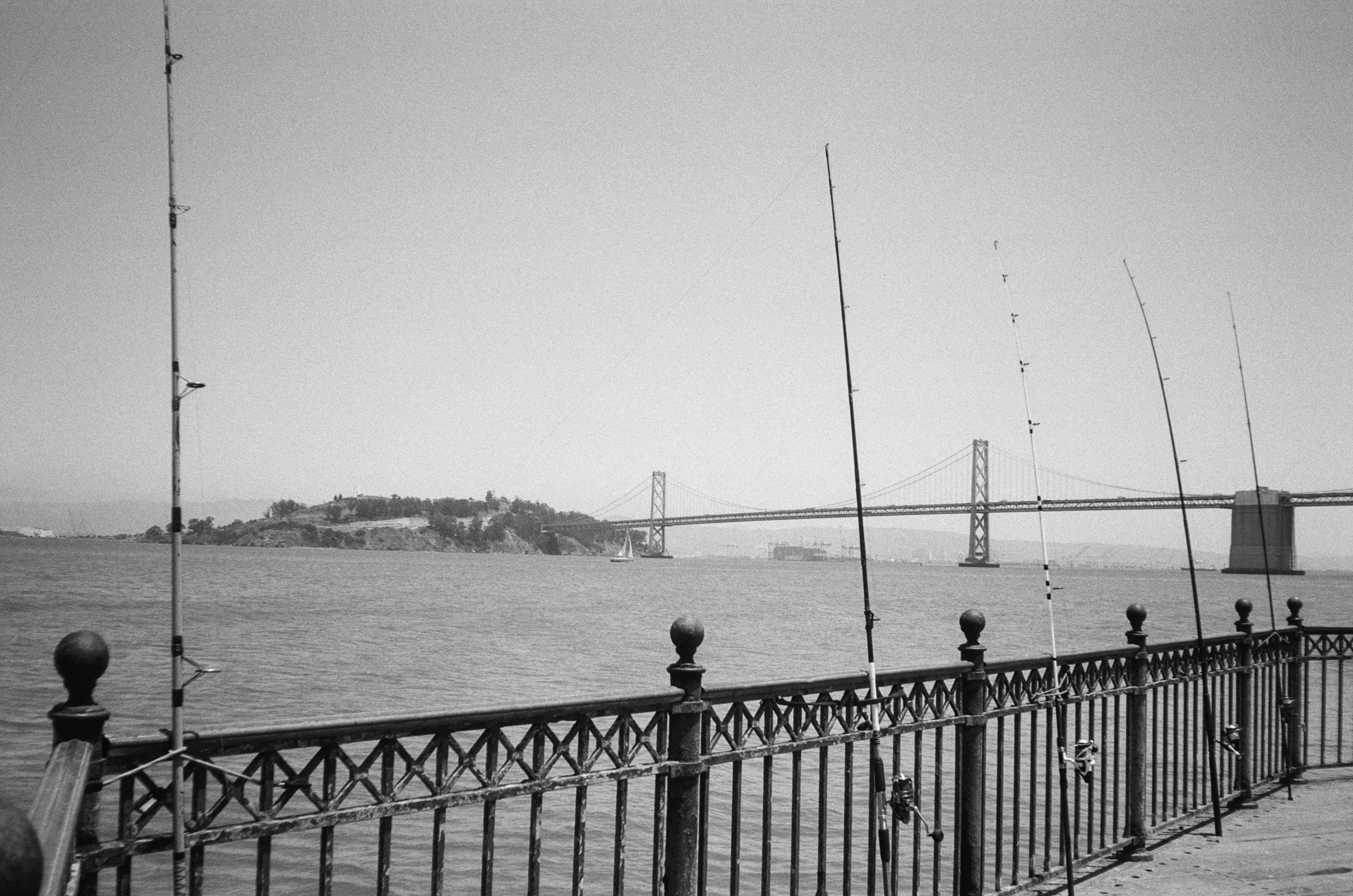 sf june-27.jpg