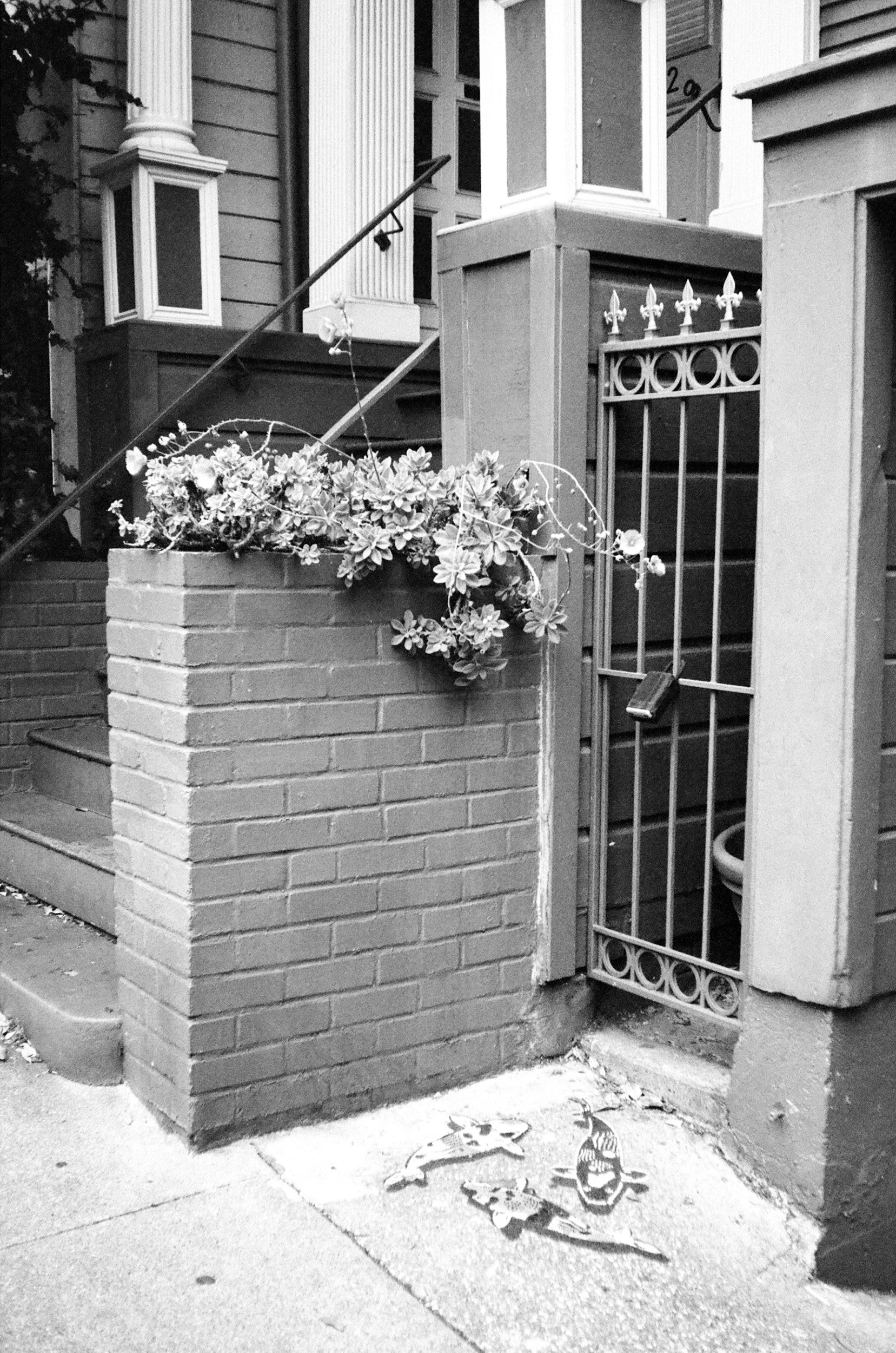 sf june-04.jpg