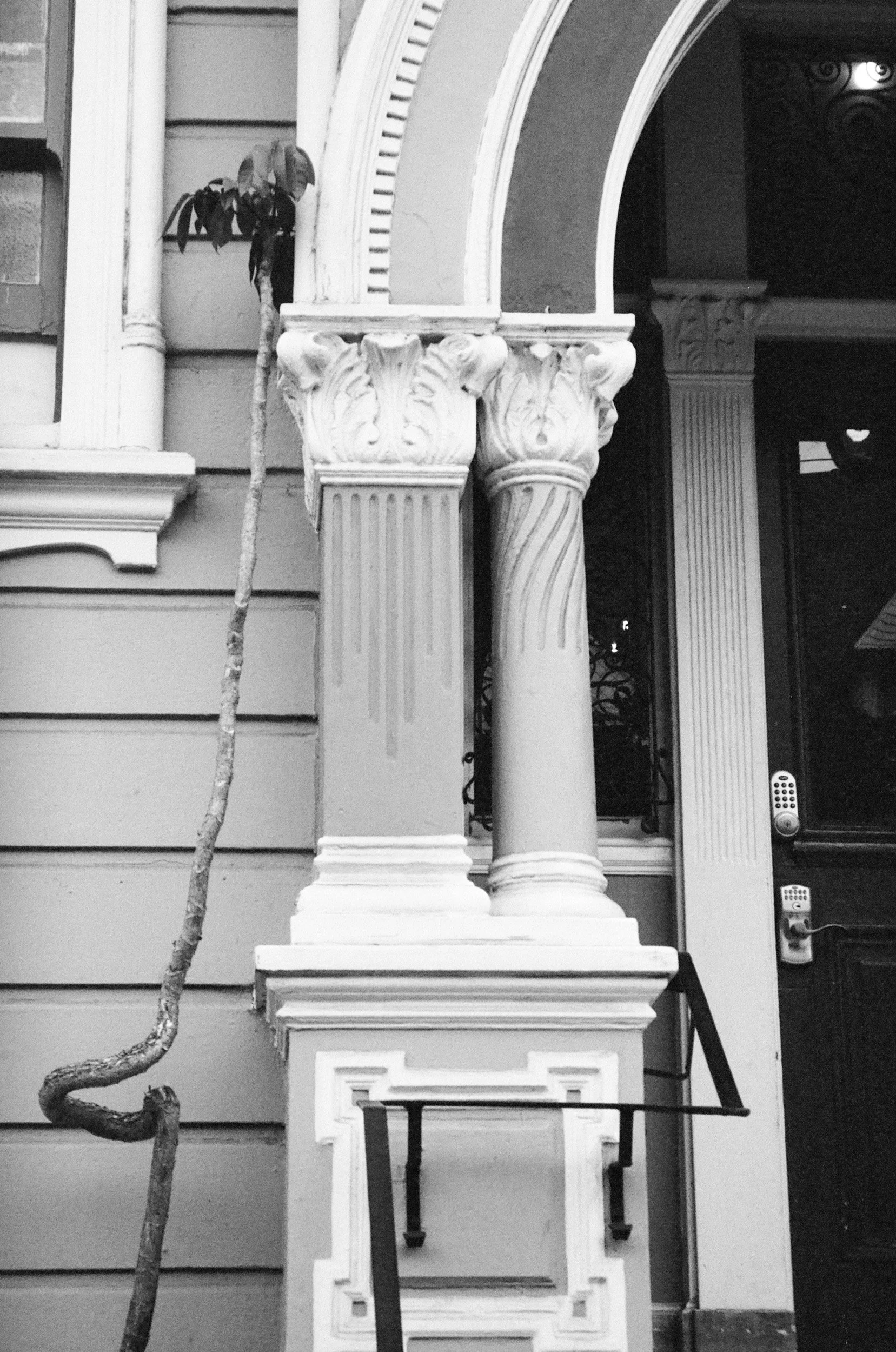 sf june-20.jpg