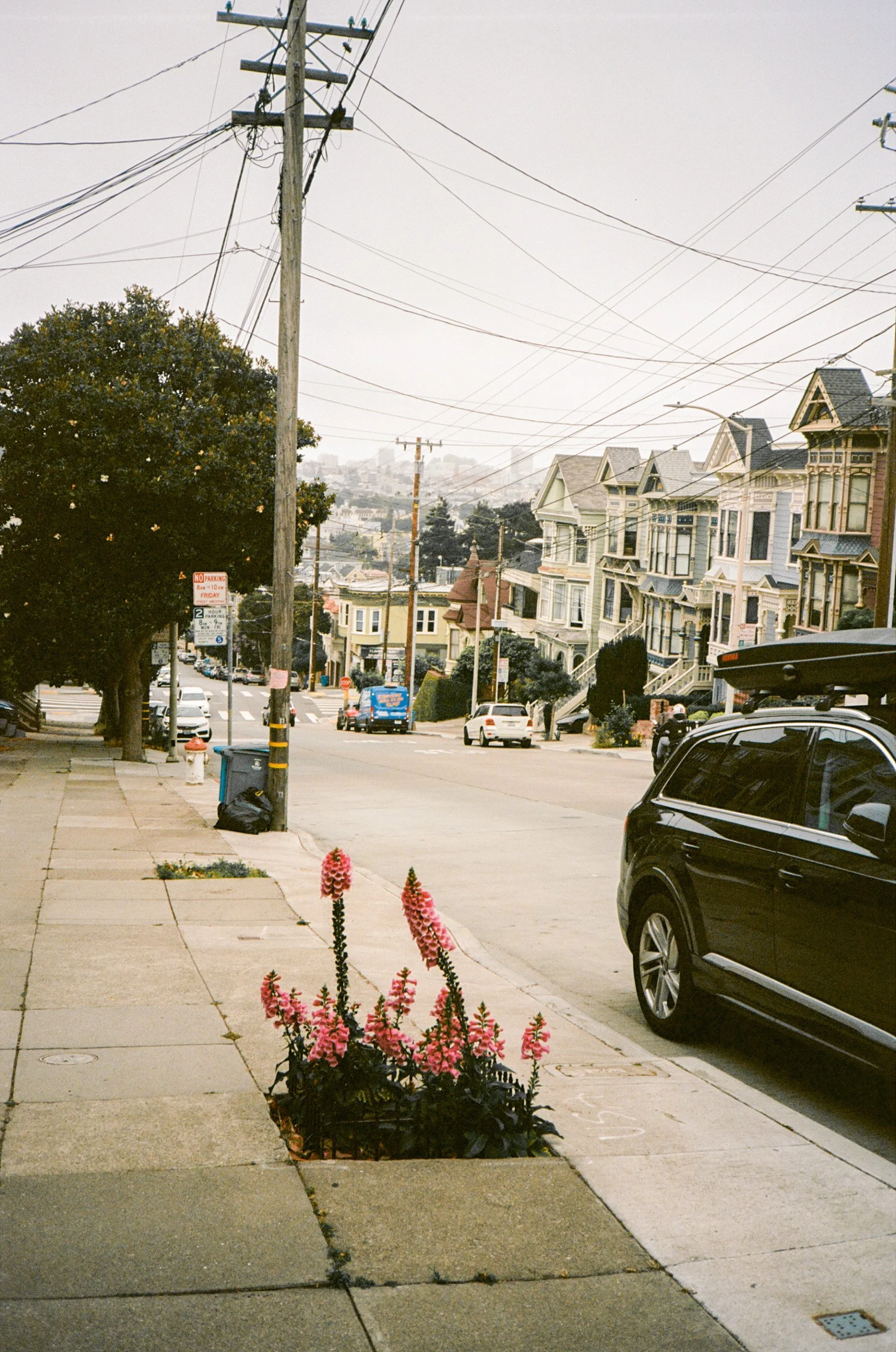 sf june-10.jpg