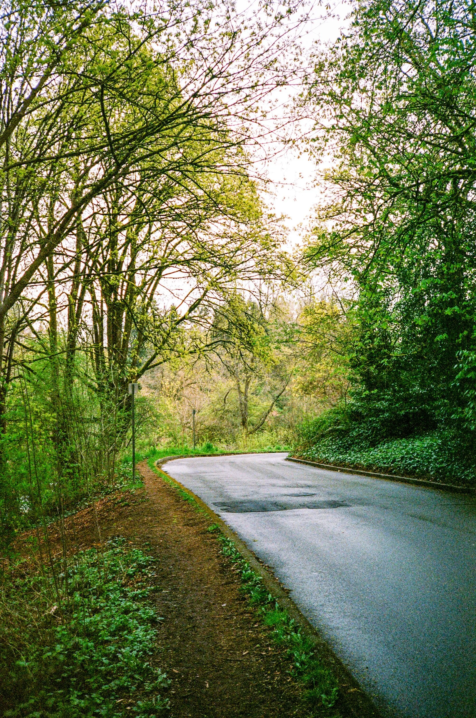 lone-29.jpg