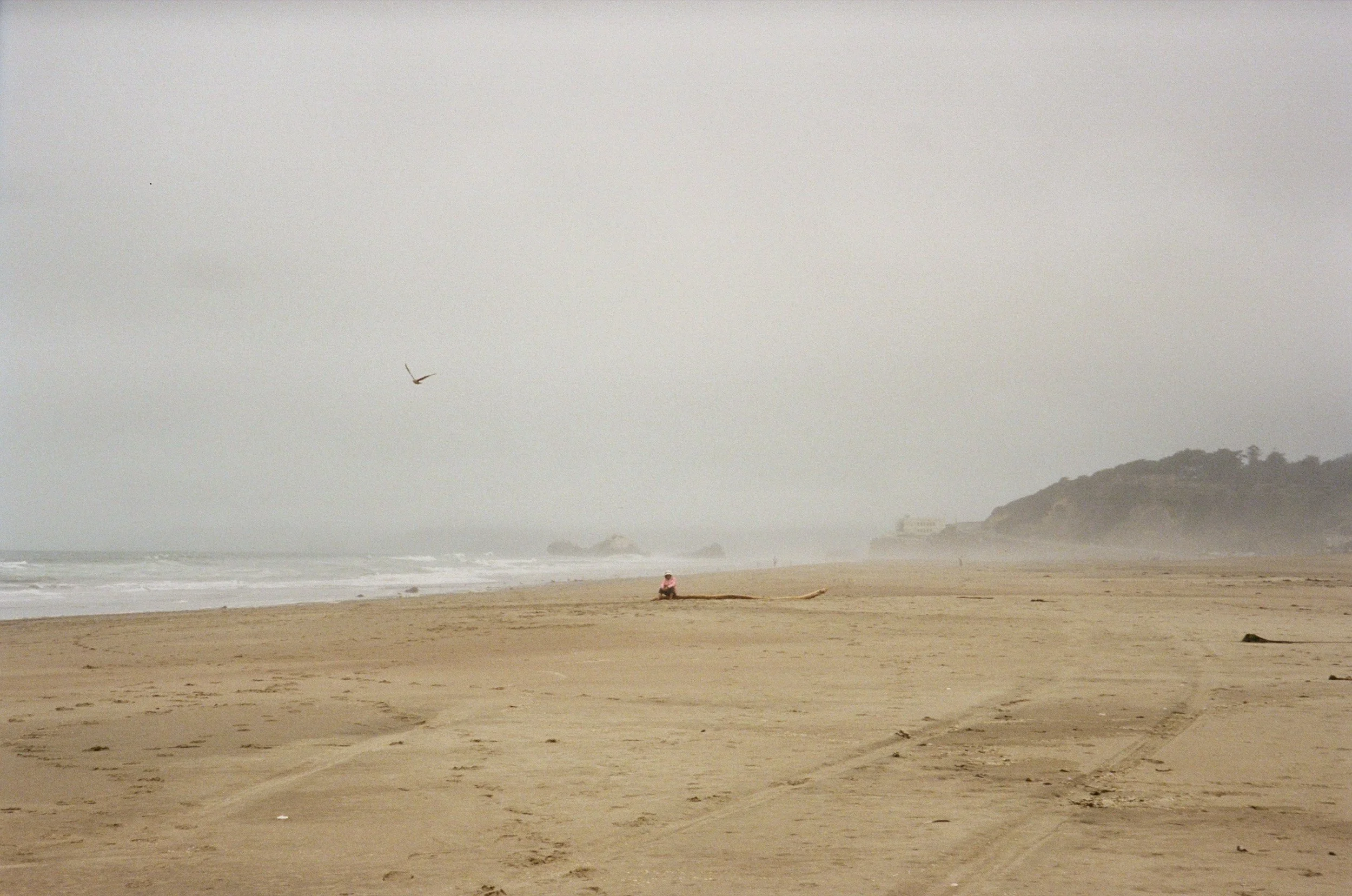 sf june-09.jpg