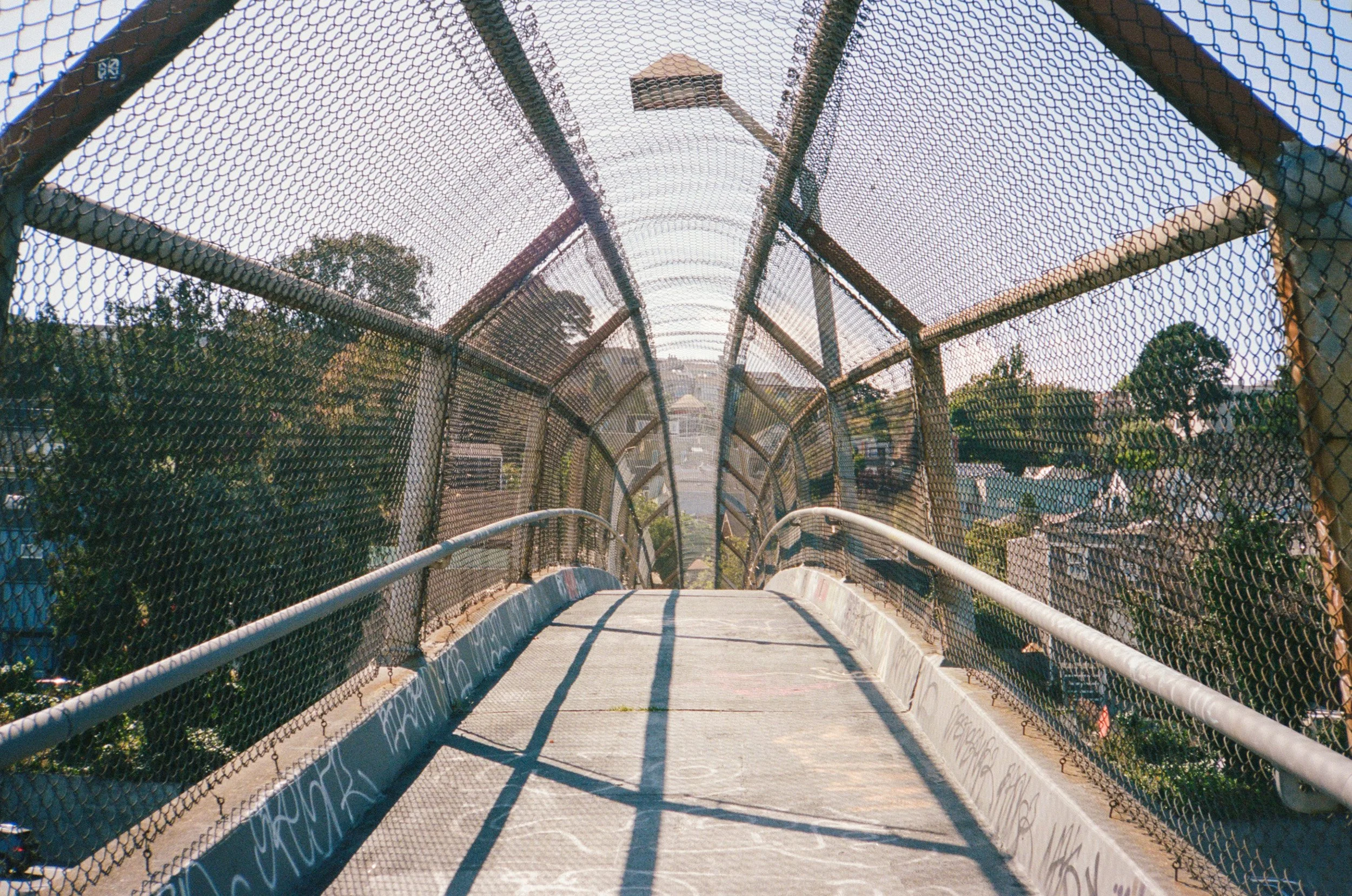 sf june-01.jpg