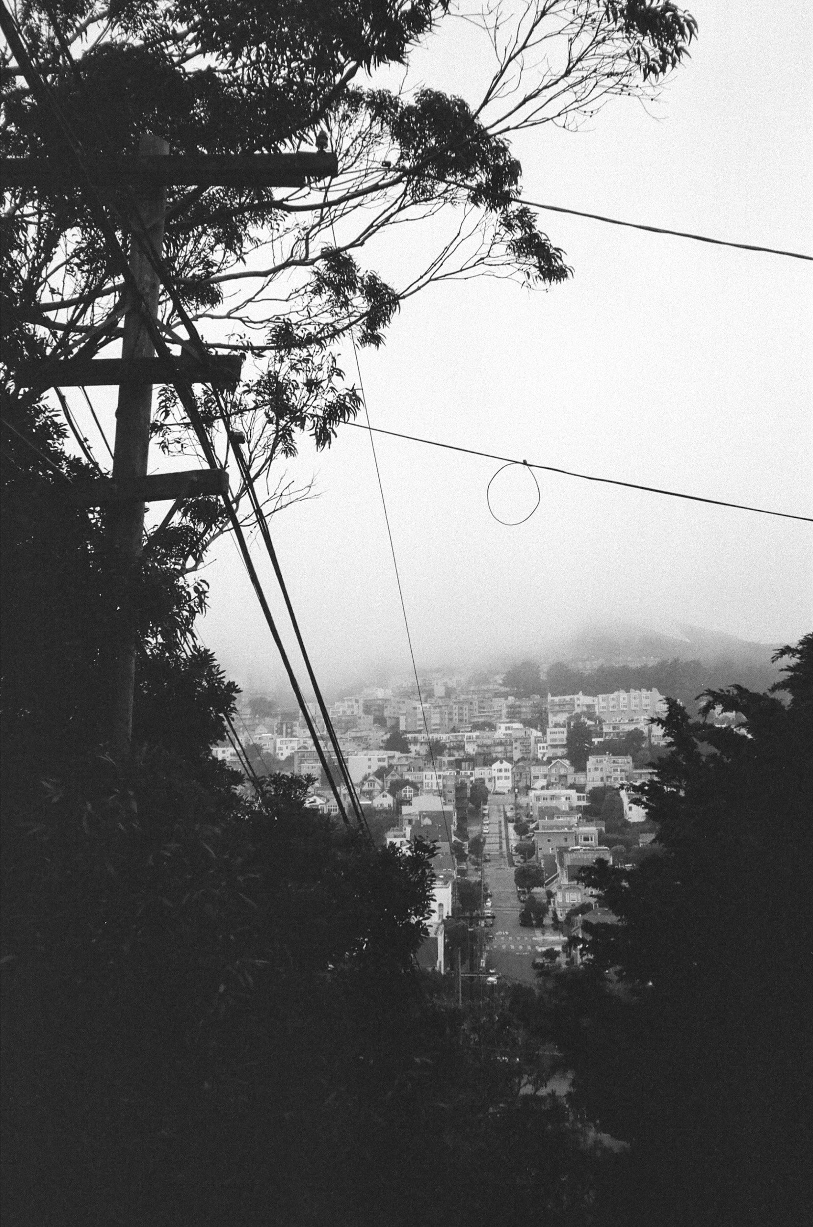 sf june-02.jpg