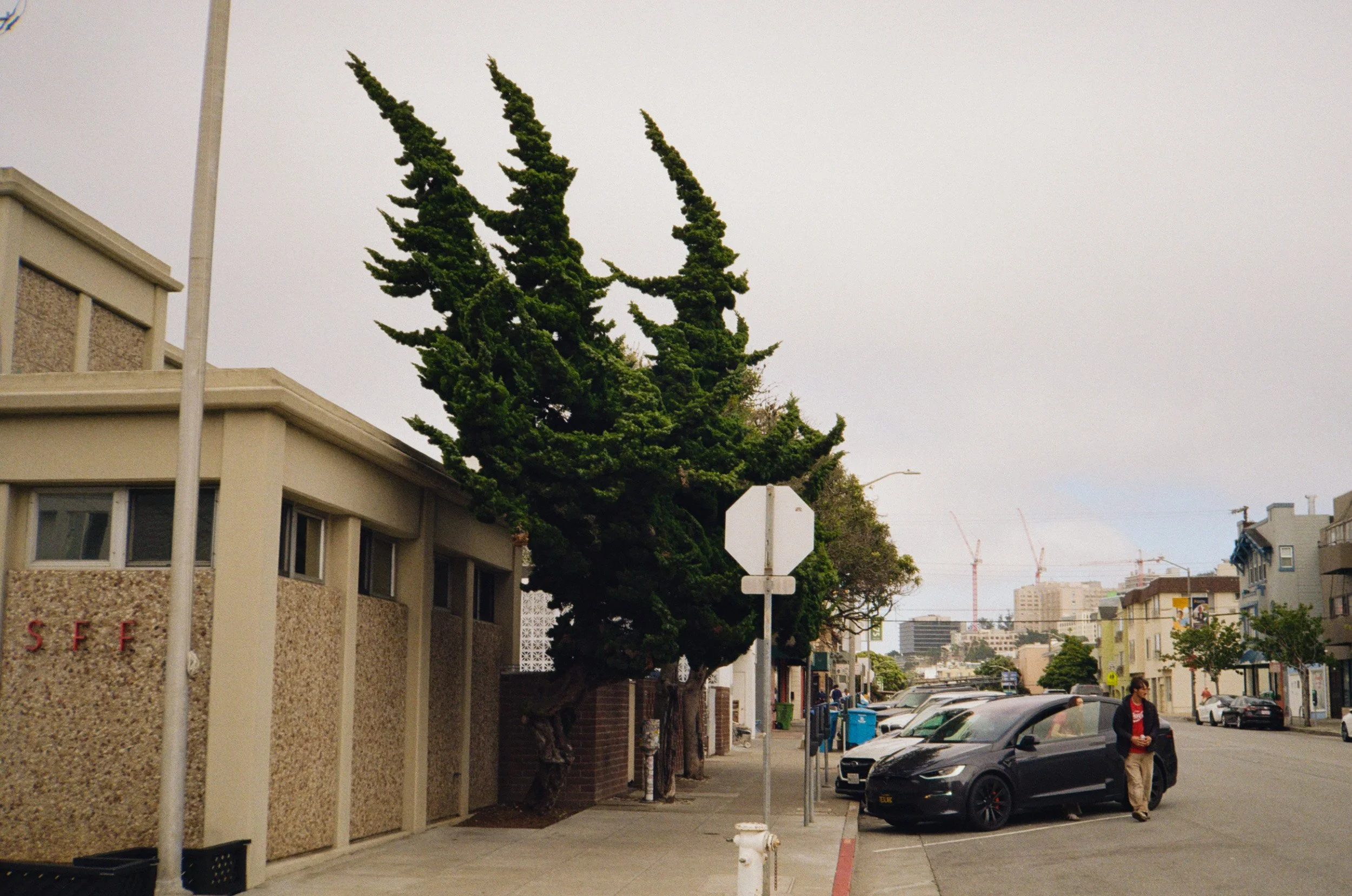 sf june-28.jpg