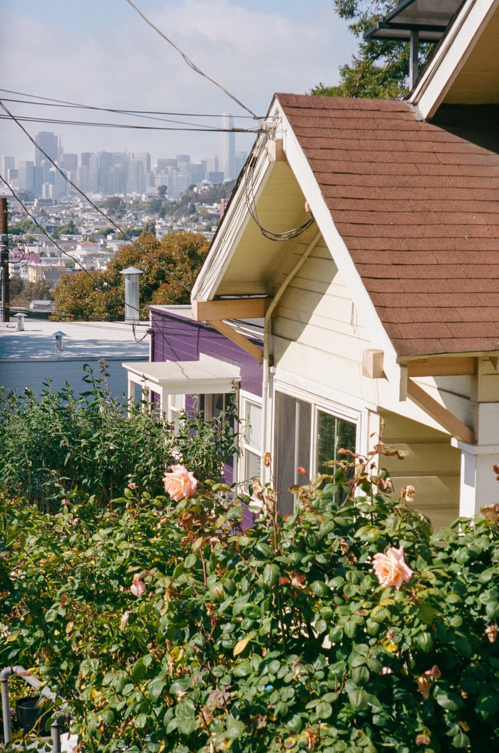 sf june-06.jpg