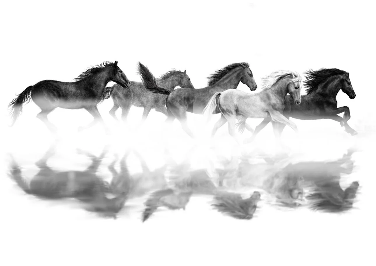 "Wild Horses" — digital drawing by Alicia Maye. Freehand herd of horses in motion, black and white, emerging from mist. Inspired by Natasha Bedingfield. iPad Pro.