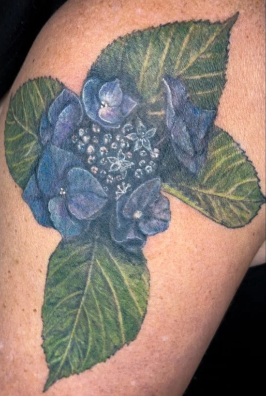 color realism tattoo | hydrangea tattoo | botanical tattoo | floral tattoo artist | realistic flower tattoo | tattoo artist Wenatchee WA | Cashmere WA tattoo | Pacific Northwest tattoo artist | Alicia Maye Art | Inklinations