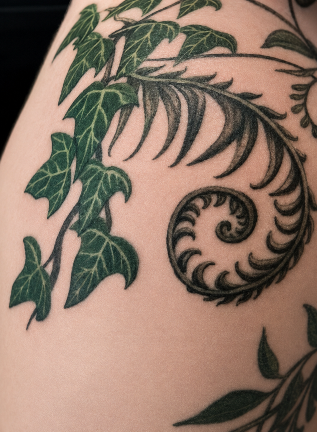 Freehand botanical tattoo by Alicia Maye. Green ivy and fiddlehead fern, color realism, illustrative style. Inklinations private tattoo studio, Cashmere WA.
