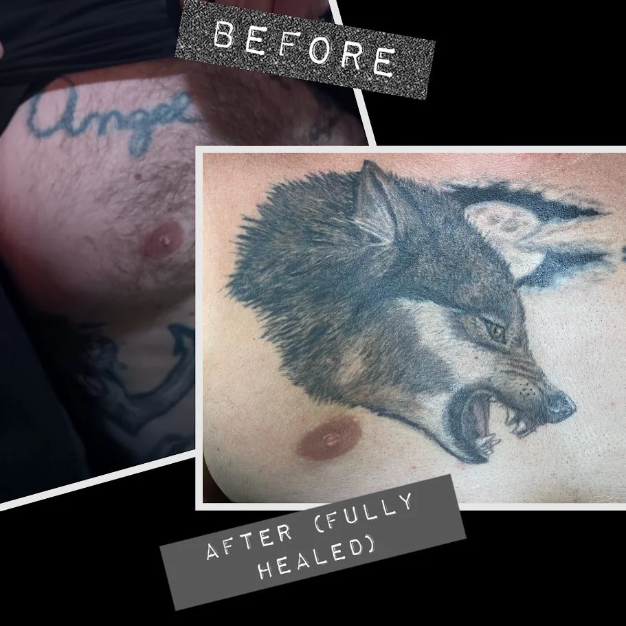 Close-up of a wolf tattoo on a person's chest, showing detailed shading and features. The image is split to compare before and after healing of the tattoo.