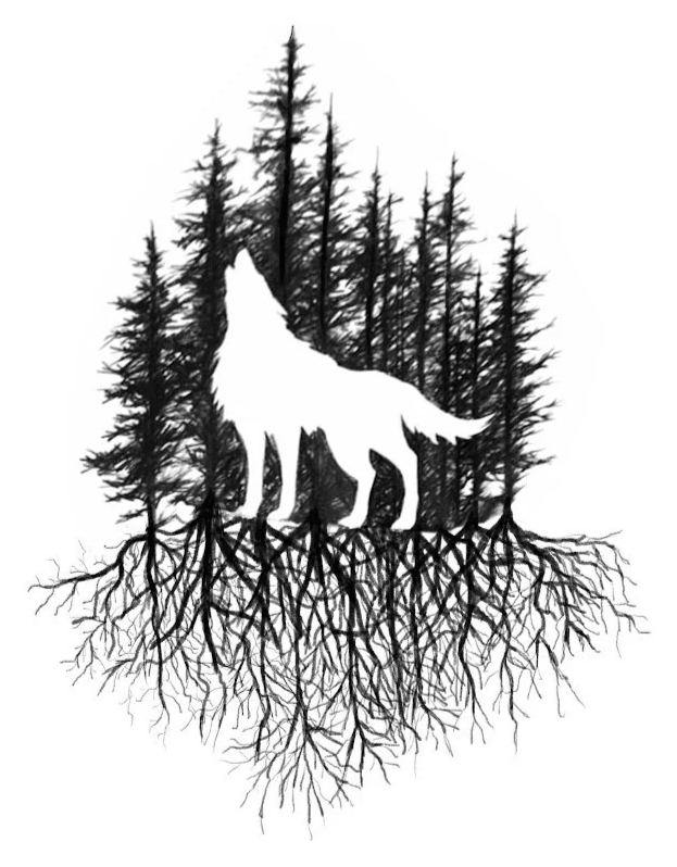 Wolf and pine tree negative space silhouette with exposed root system by Alicia Maye — original digital drawing | nature and wildlife art | Alicia Maye Art