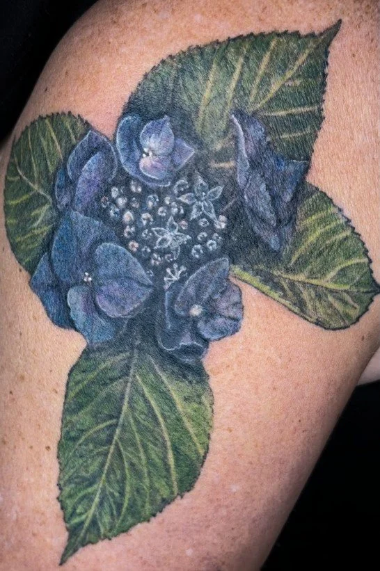 Tattoo of purple hydrangea flowers surrounded by green leaves.