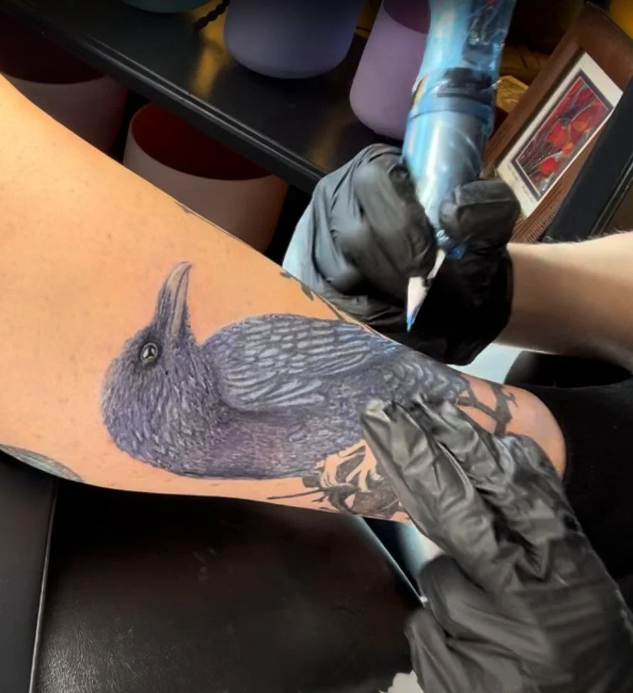 Tattoo in progress by Alicia Maye at Inklinations. Raven design on calf.