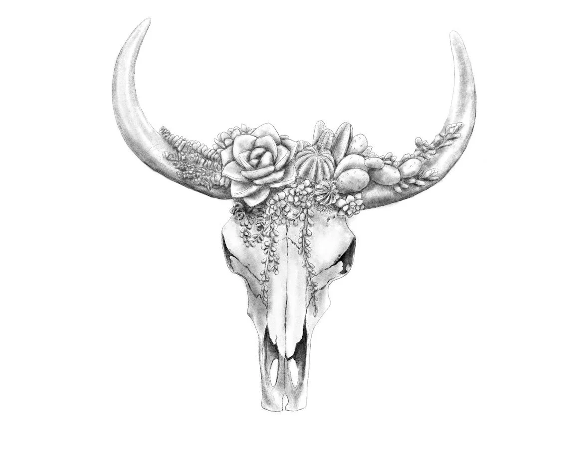 Floral cow skull drawing by Alicia Maye — detailed pencil illustration with flowers succulents and foliage | original drawing | botanical skull art | Alicia Maye Art