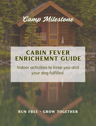 Cabin Fever Indoor Enrichment Guide