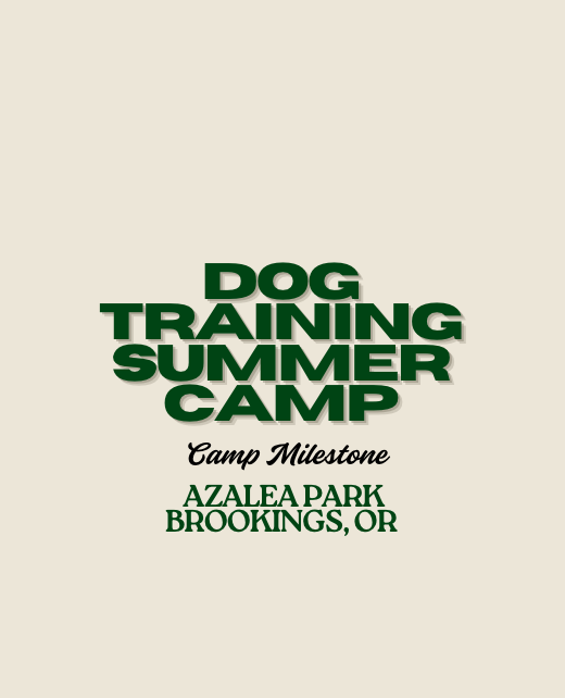 Dog Training Summer Camp | Brookings, OR