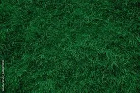 is the grass greener on the other side?