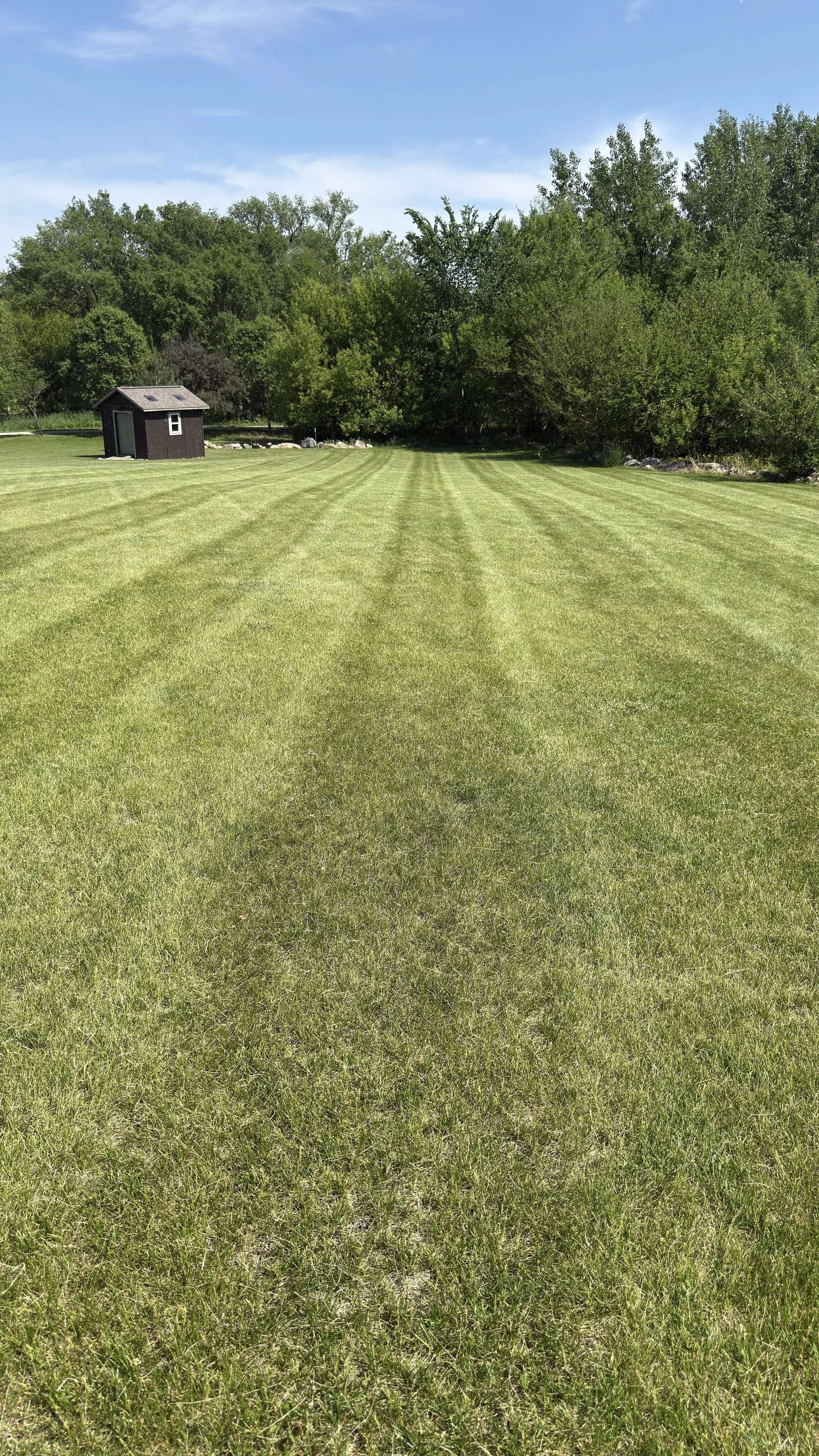 A grassy field with evenly cut grass, a small black shed on the left, and a background of trees under a partly cloudy blue sky.