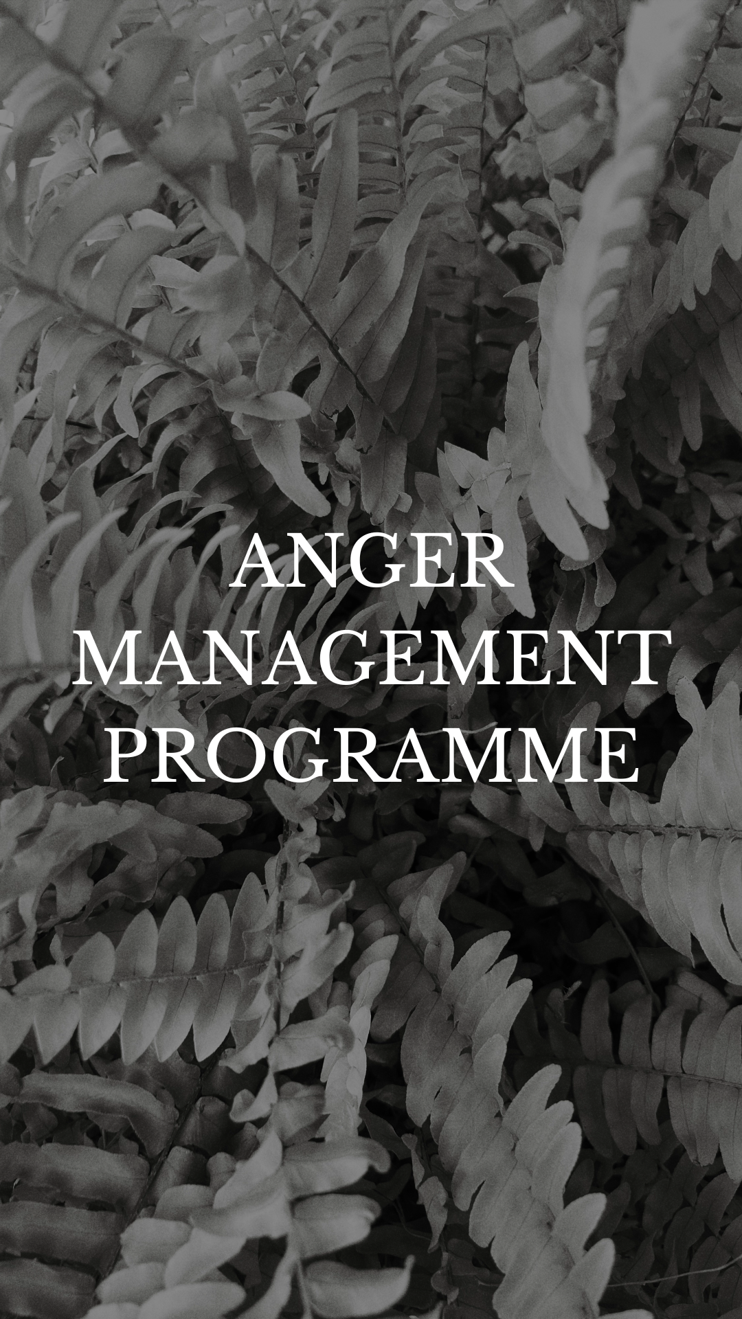 Anger Management Programme