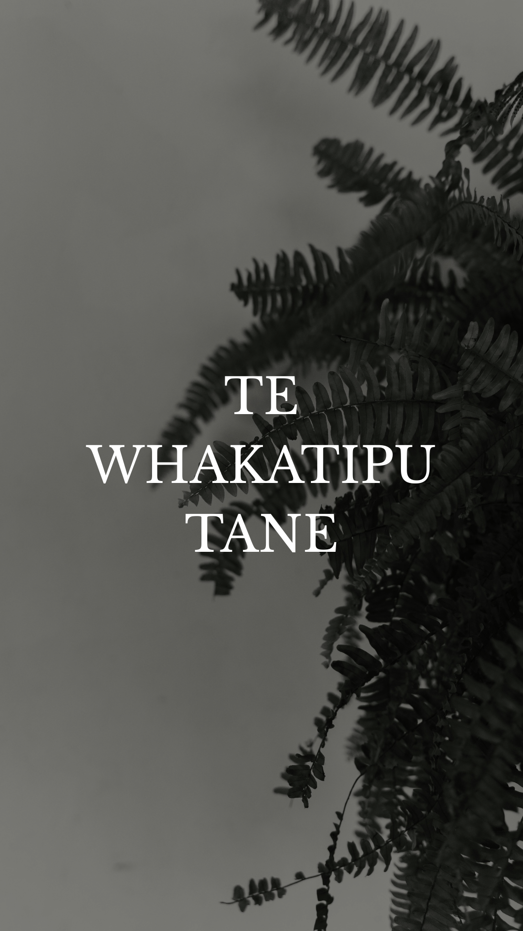 Te Whakatipu Tāne Men’s Healing & Recovery Programme