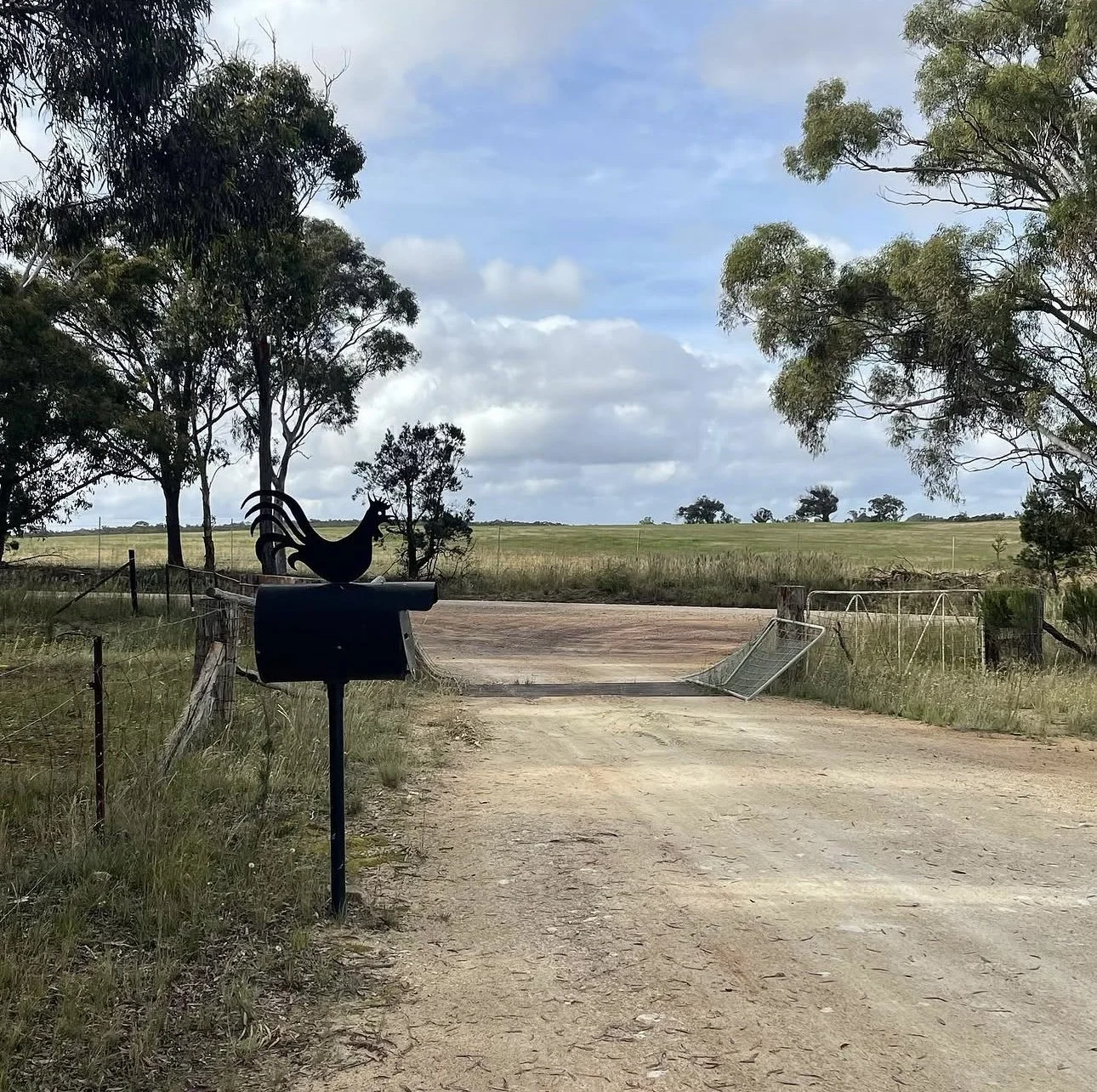 A rural dirt road leading to a gate with a metal rooster sculpture on a mailbox and a fence on either side. There are trees and fields in the background under a partly cloudy sky.
